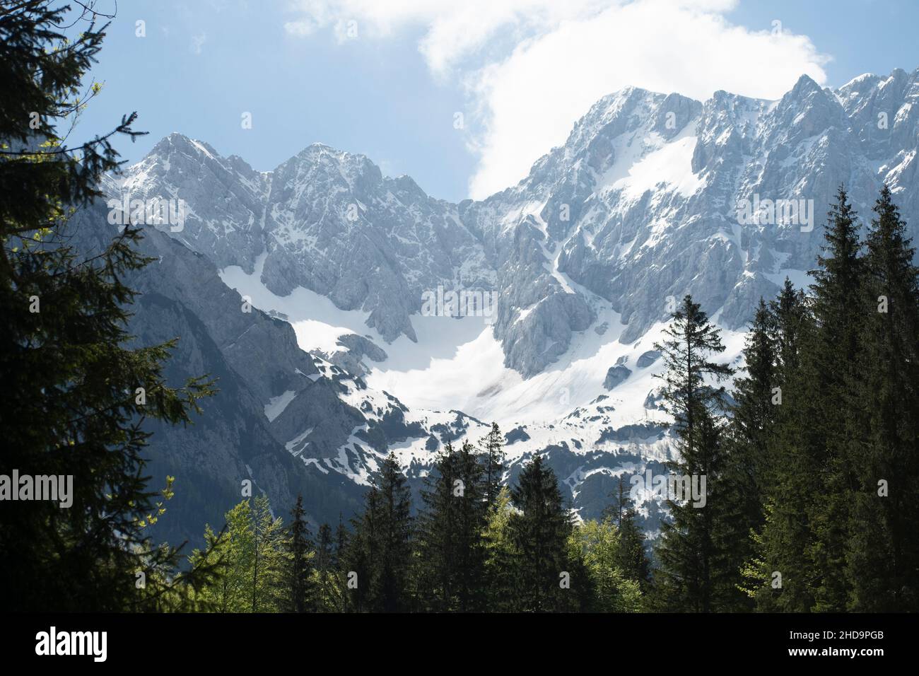 View snowy mountains forest hi-res stock photography and images - Alamy