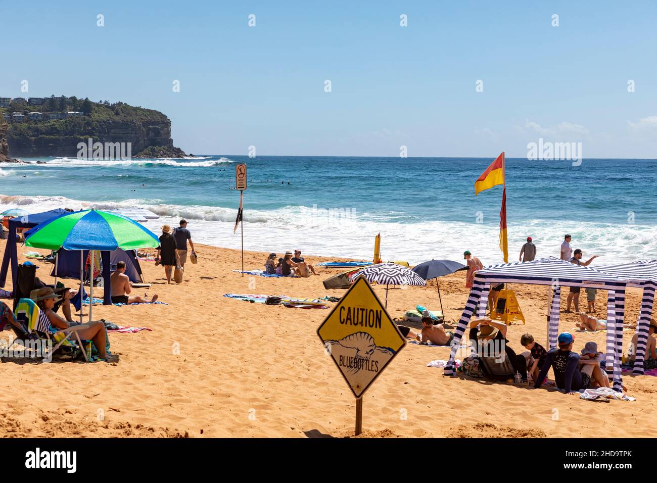 Newport Beach in Sydney on a summers day 2022, bluebottles are on the beach,Sydney,Australia Stock Photo