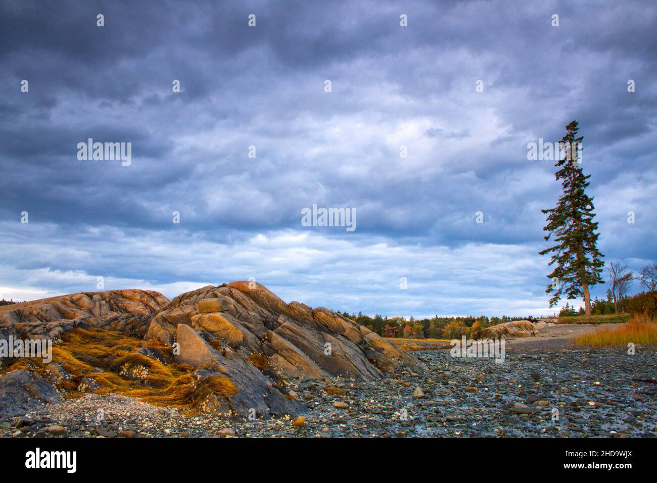 Rocky Beach on Stormy Afternoon Stock Photo