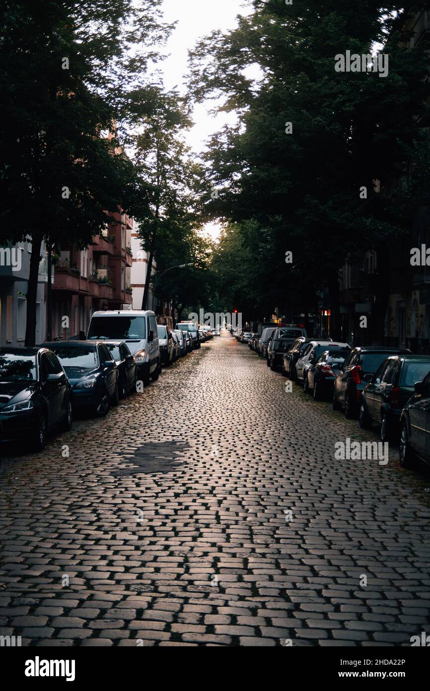 Vertical shot of a street with parked cars on both sides and sunlight ...