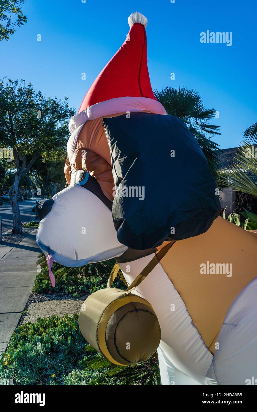 A Saint Bernard blowup dog for Christmas display Stock Photo Alamy