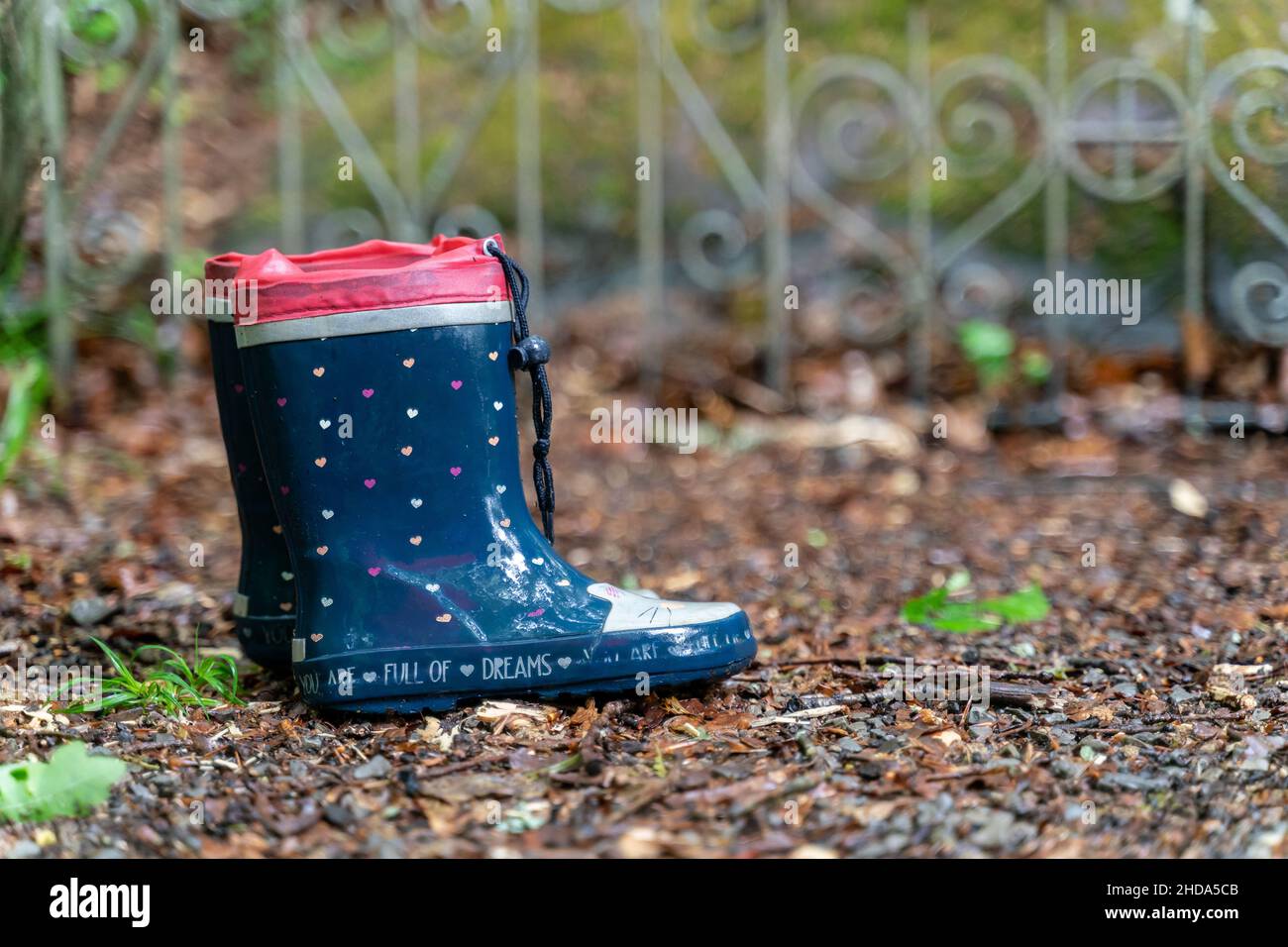 A pair of forgotten children's rubber boots stands in the rain in the forest Stock Photo