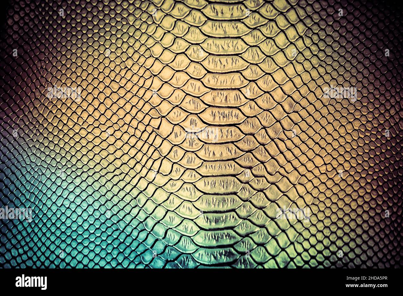 Luxury snake skin texture use for background Stock Photo