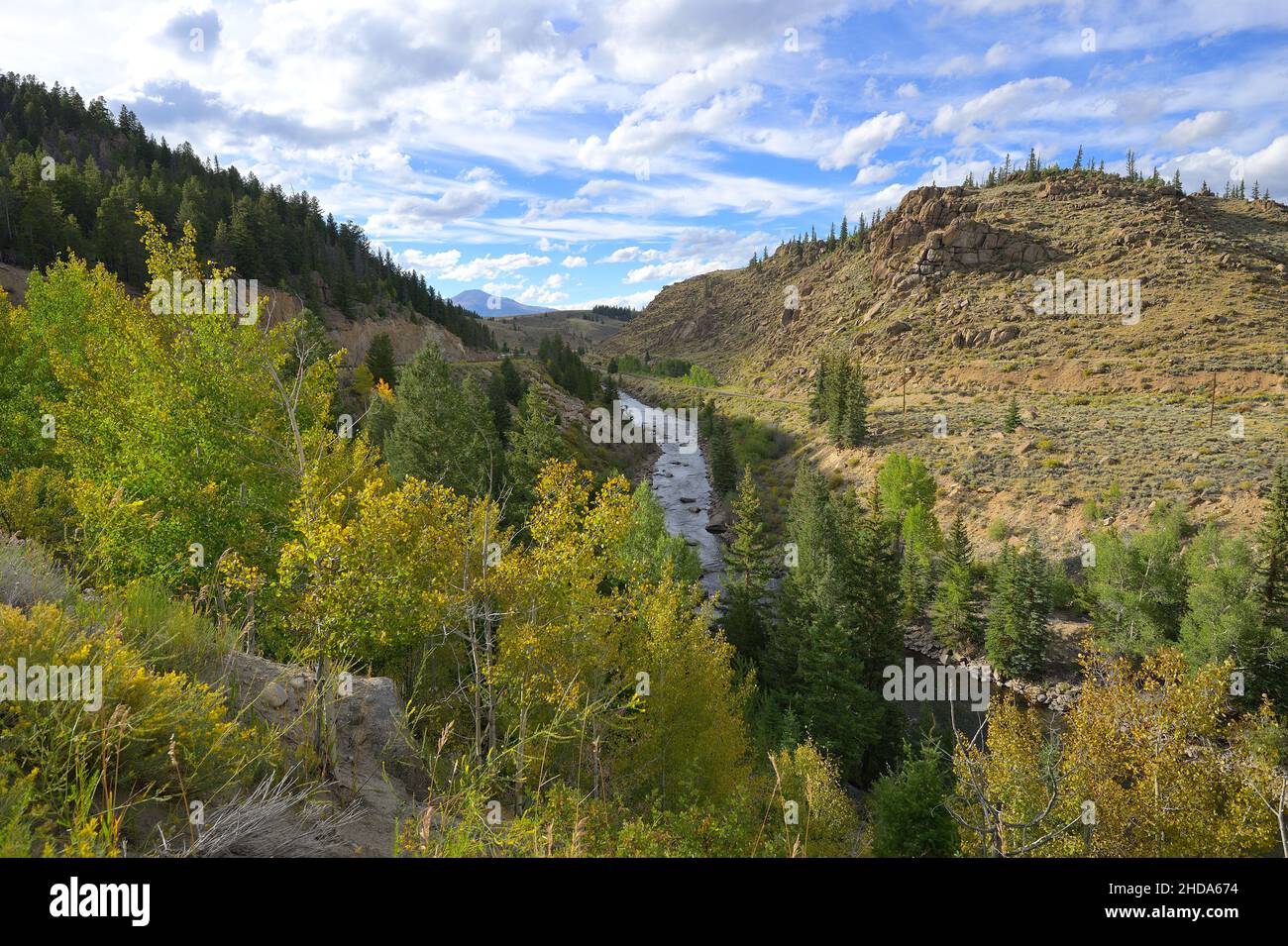 The scenic nature along the Kellog Gulch, near Granite CO Stock Photo
