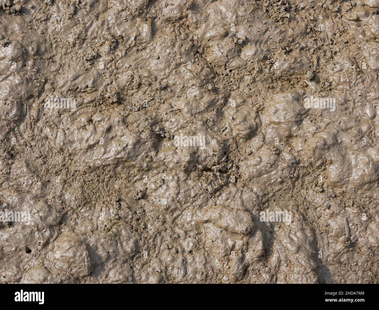 wet dry brown soil texture. Stock Photo