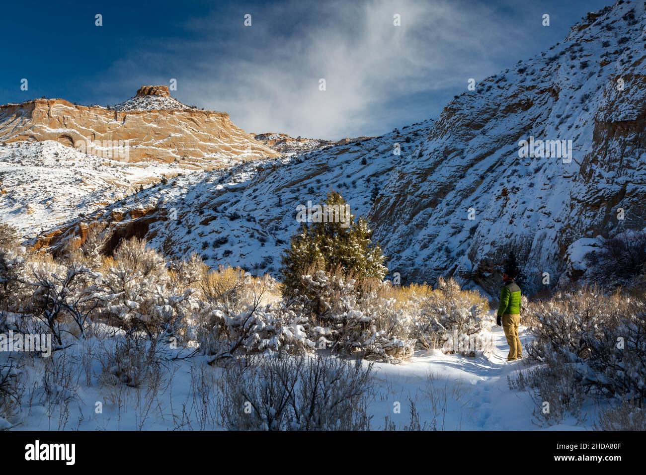 A male hiker pausing to admire the scenery along the Escalante River Trail after the landscape was blanketed in snow. Grand Staircase-Escalante Nation Stock Photo