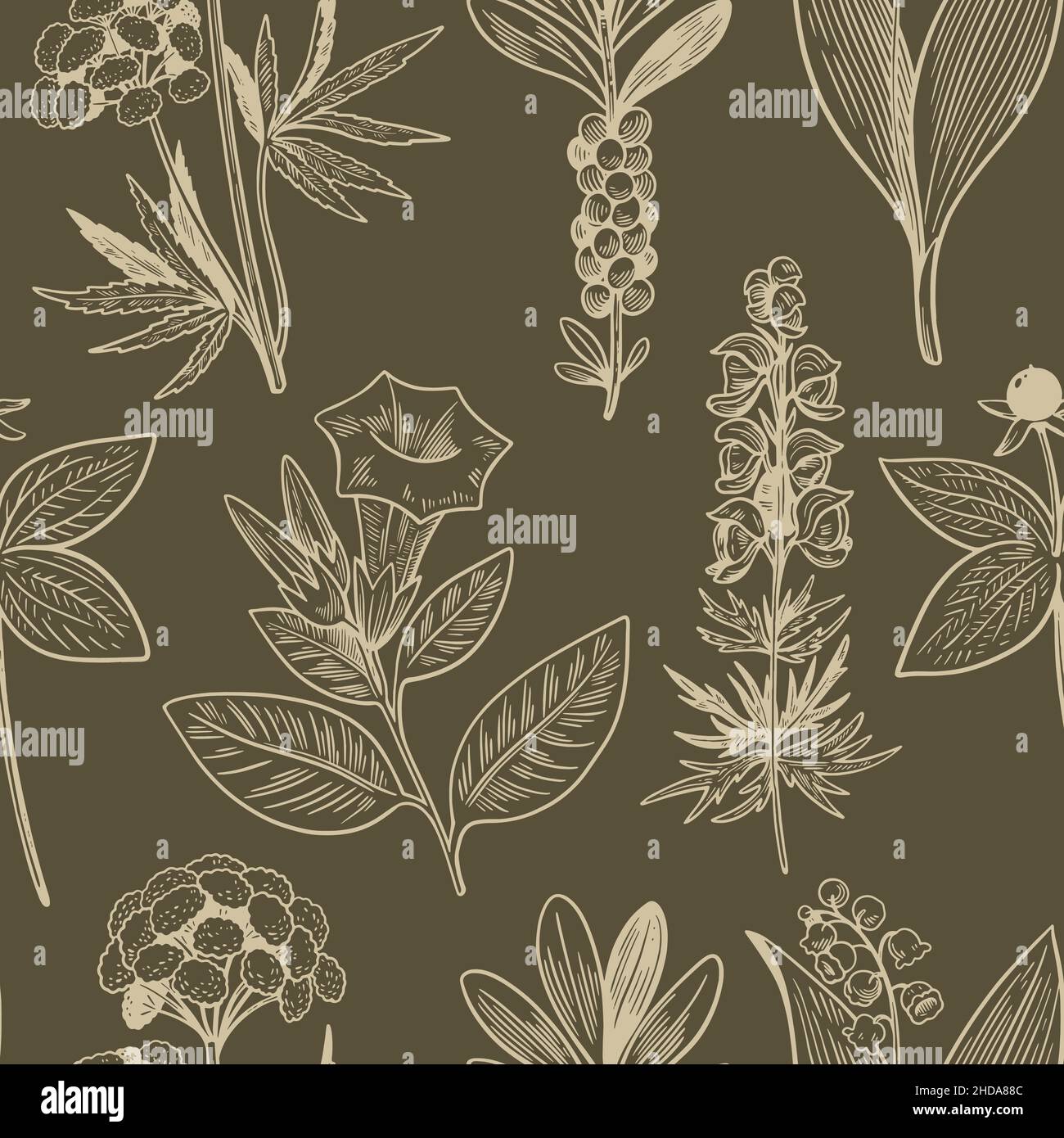 Seamless pattern with hand drawn wild plants in vintage engraving style ...