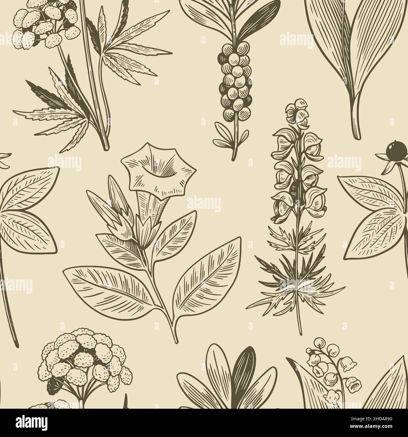 Seamless pattern with hand drawn wild plants in vintage engraving style. Medical herbs background for design and packaging.  Stock Vector