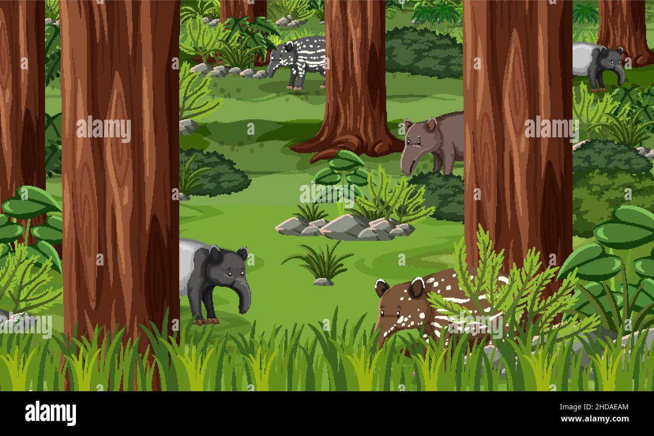 Wild animals in forest landscape background illustration Stock Vector ...