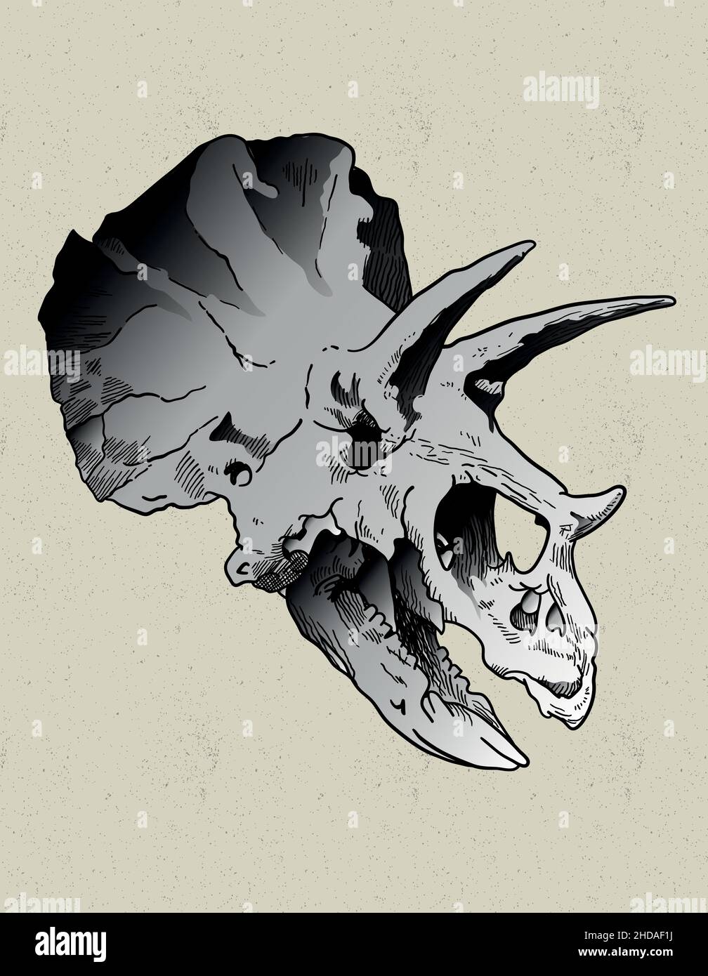 triceratops skull head tattoo style Stock Vector