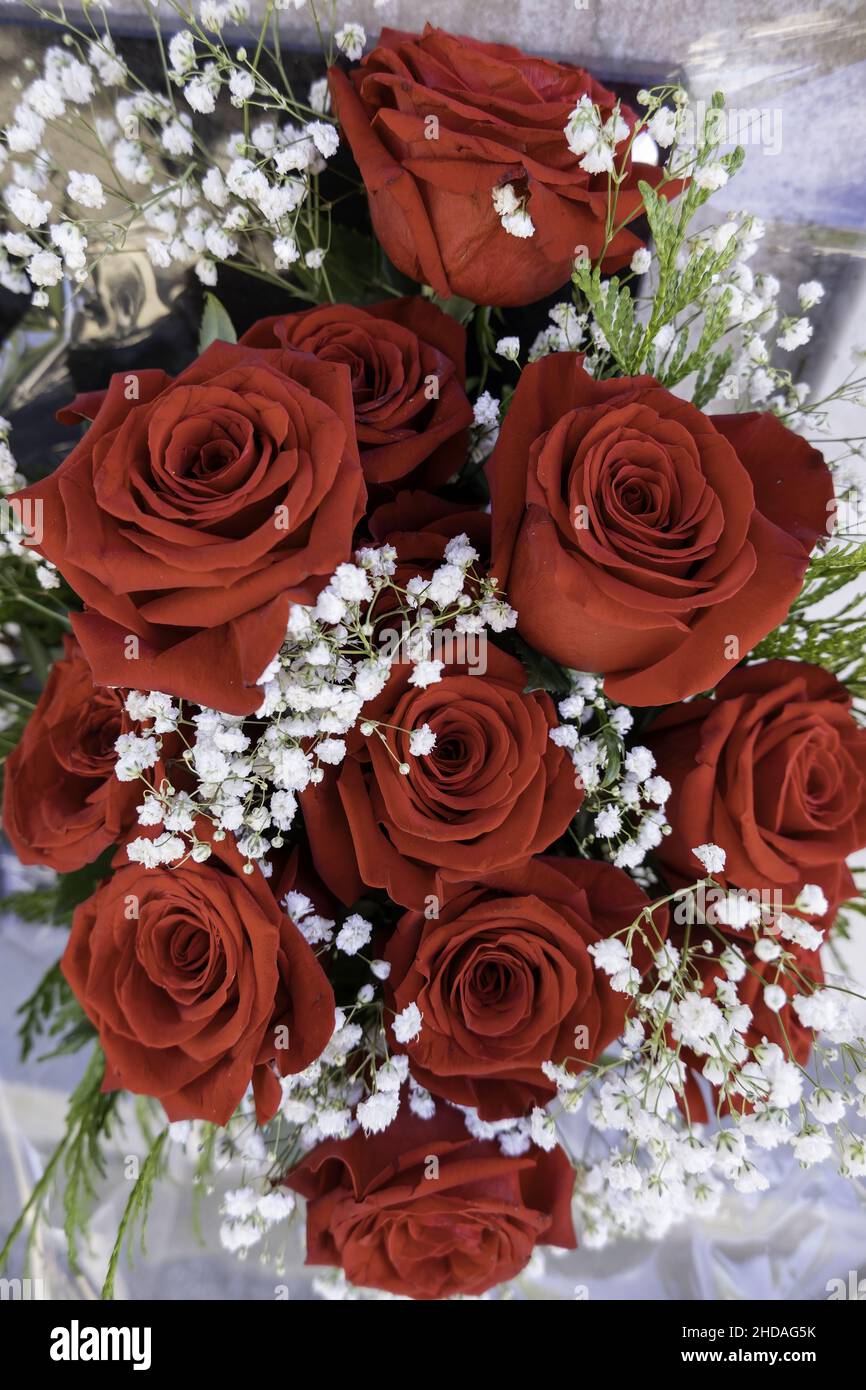 Detail of flowers to remember the dead Stock Photo Alamy