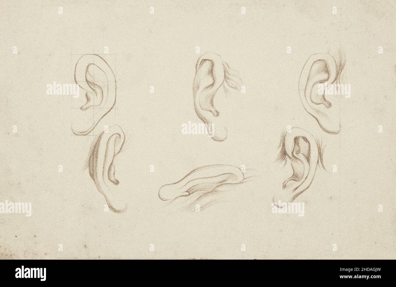 The 17th century crayon manner prints: Studies for ears. Stock Photo