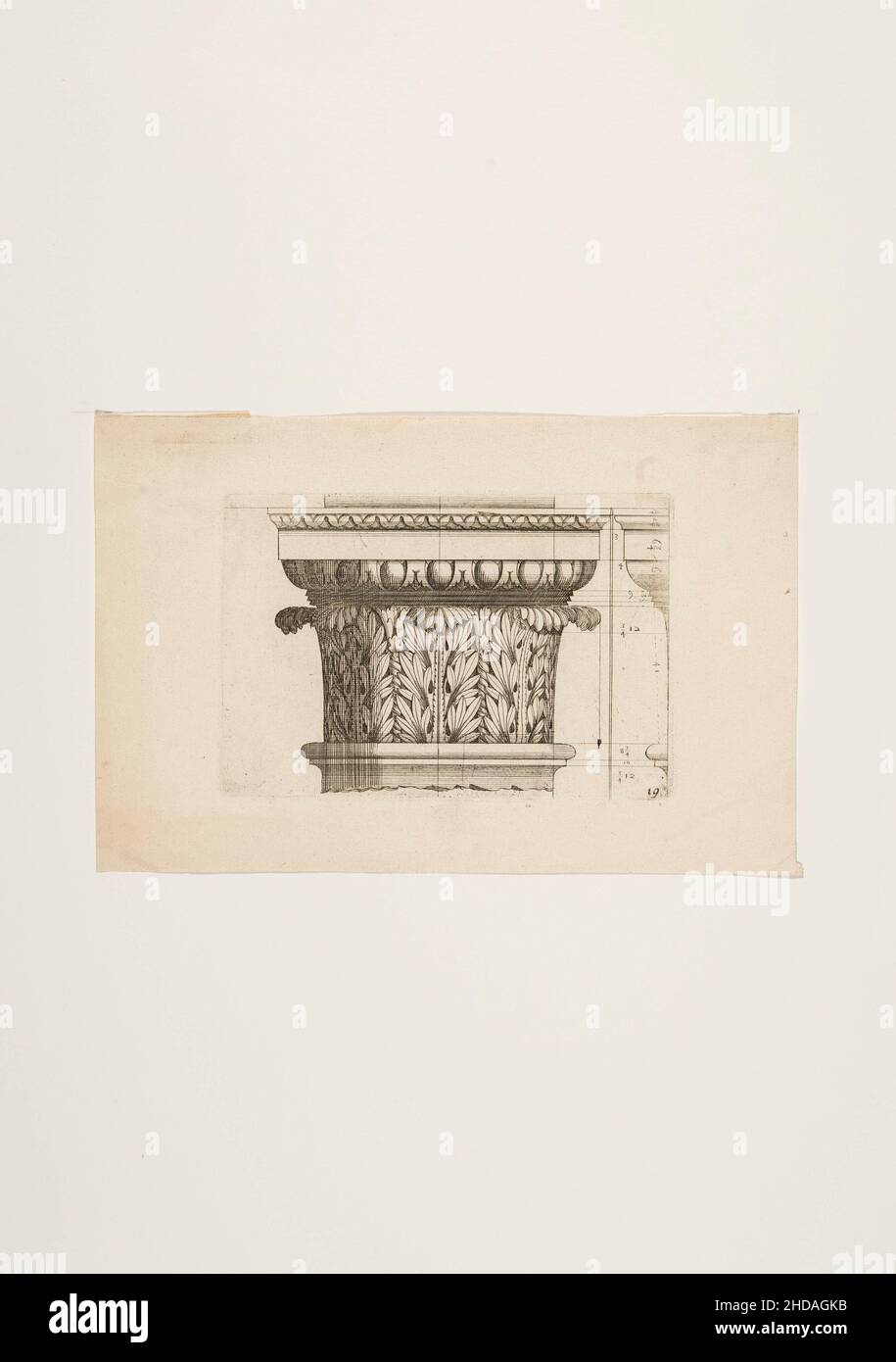 The 17th century etching of  antique corinthian capital. Stock Photo