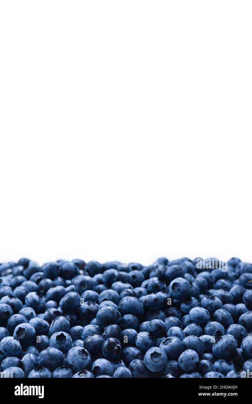 Fresh blueberry background. Texture blueberry berries close up. Stock Photo