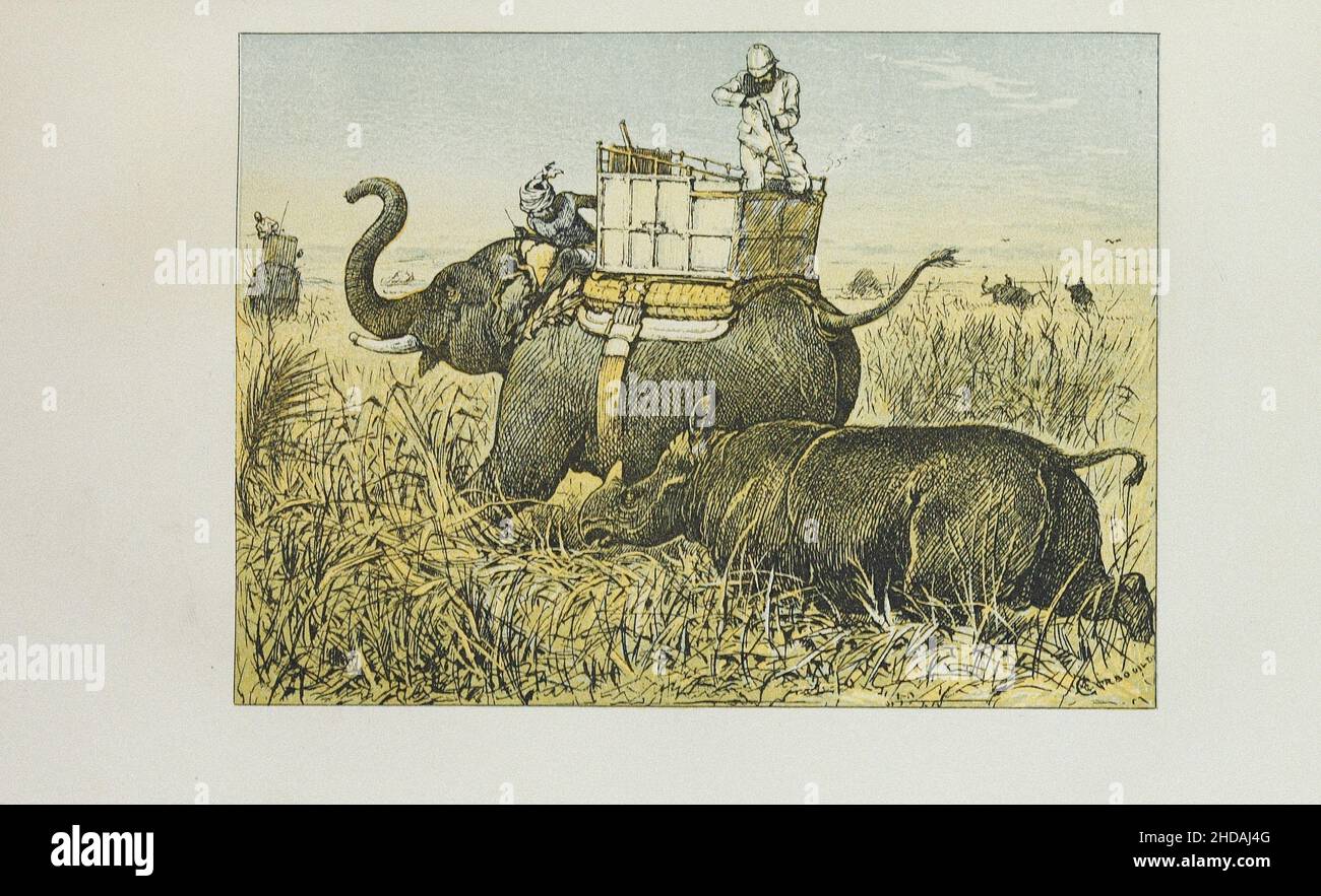 Lithograph of sport in British Burmah, Assam, and the Cassyah and Jyntiah Hills: Rhino hunting from elephant. 1879 Stock Photo