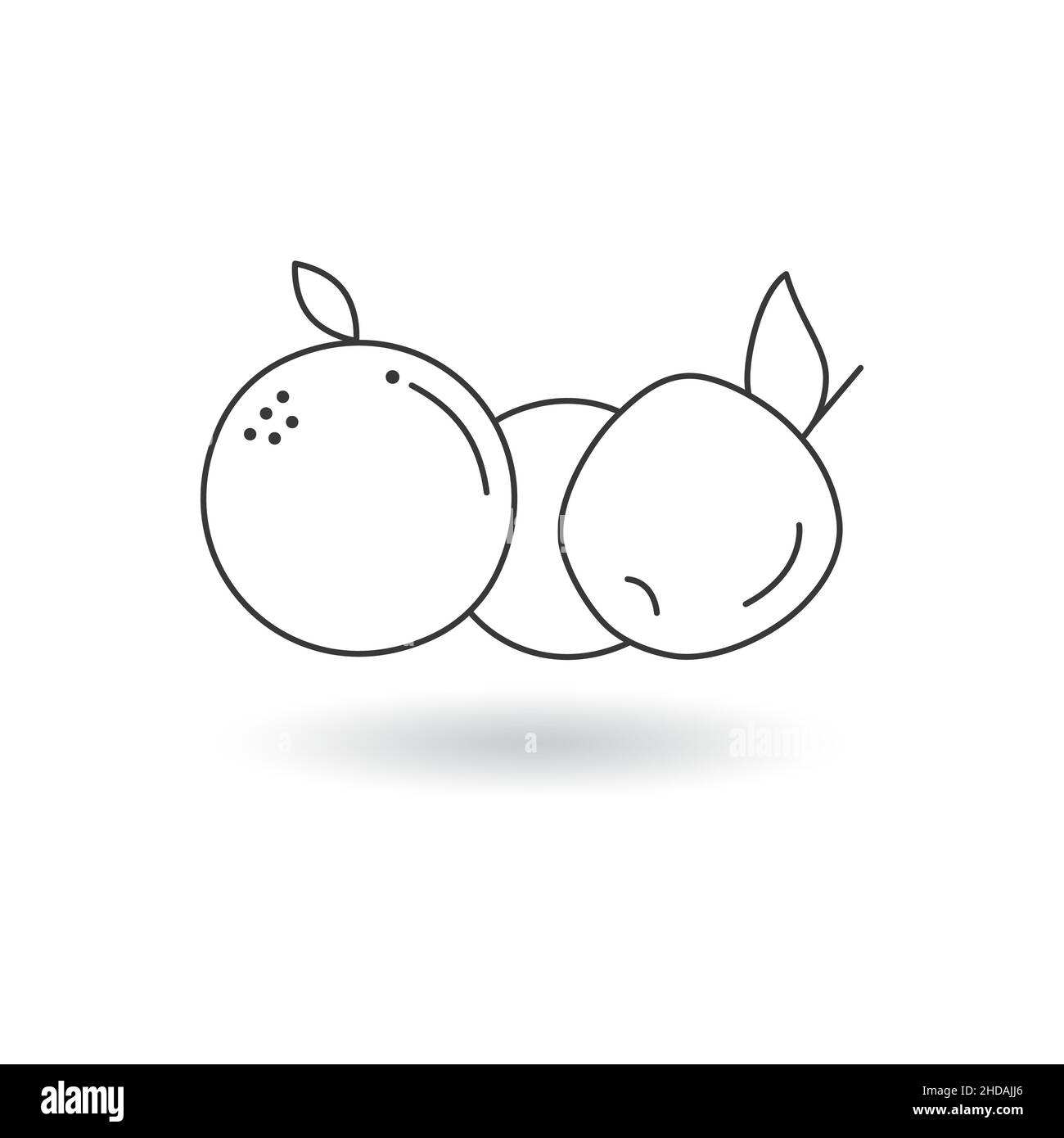 Fruit line icons about. Stock Vector illustration isolated on white ...