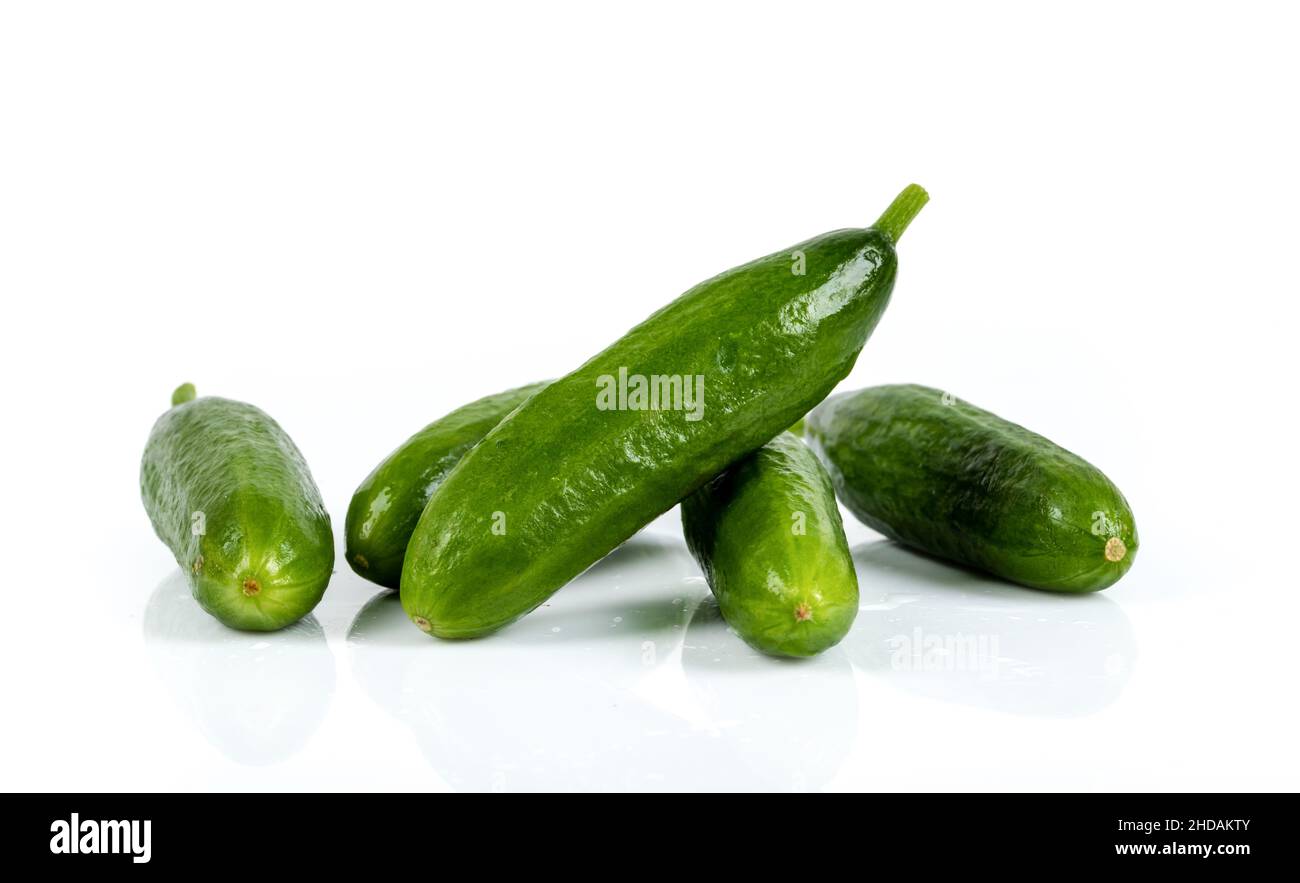 https://c8.alamy.com/comp/2HDAKTY/freshly-harvested-mini-cucumber-on-isolated-white-background-2HDAKTY.jpg