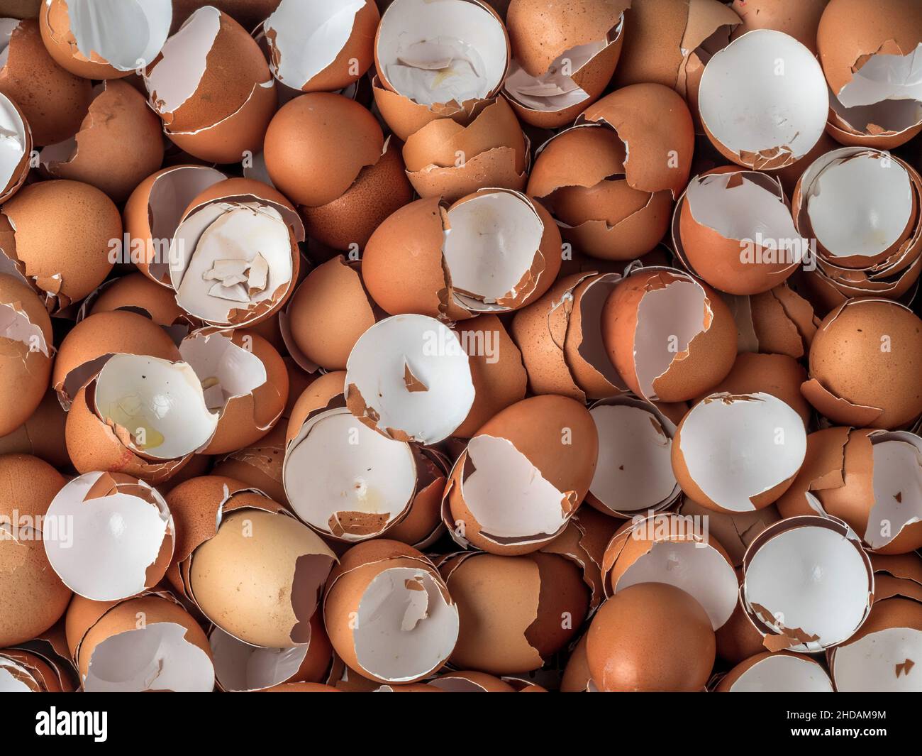 Leere Schalen von Eiern aufgestapelt. Stock Photo