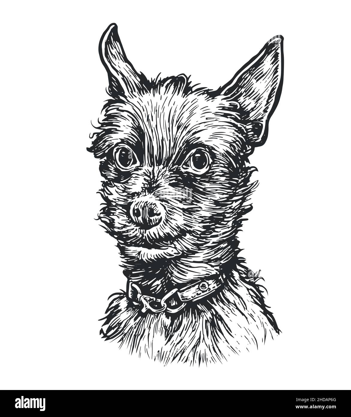 Little dog. Hand drawn vector illustration of terrier. Cute puppy sketch Stock Vector