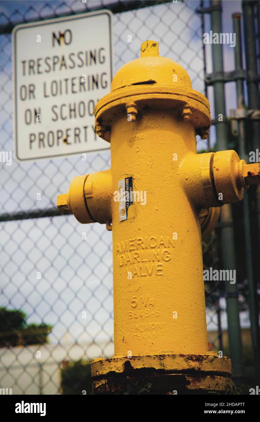 Yellow fire hydrant in school zone Stock Photo Alamy