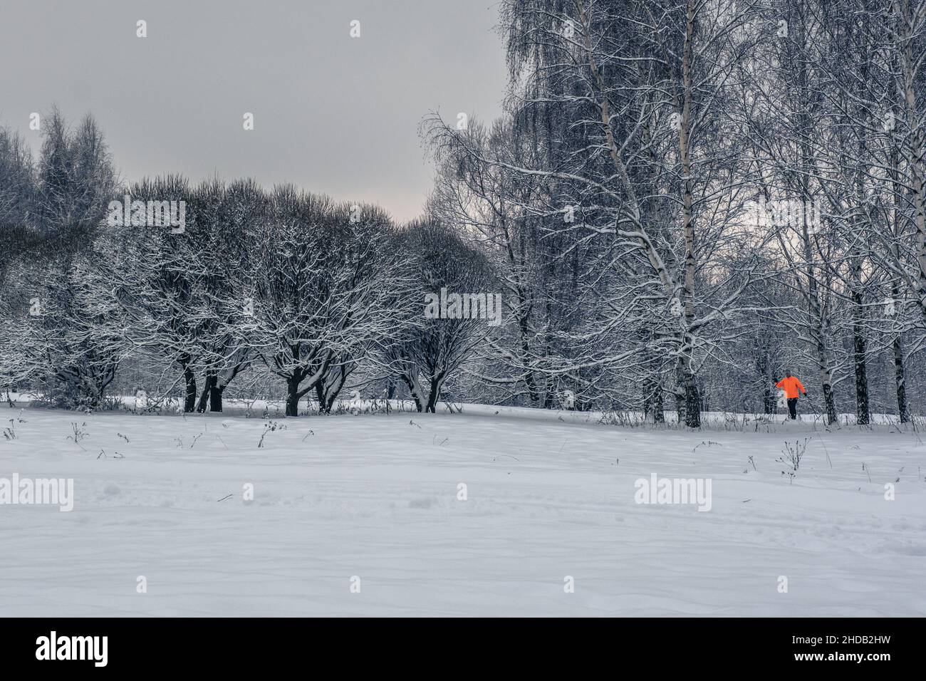 Real snowfall hi-res stock photography and images - Alamy