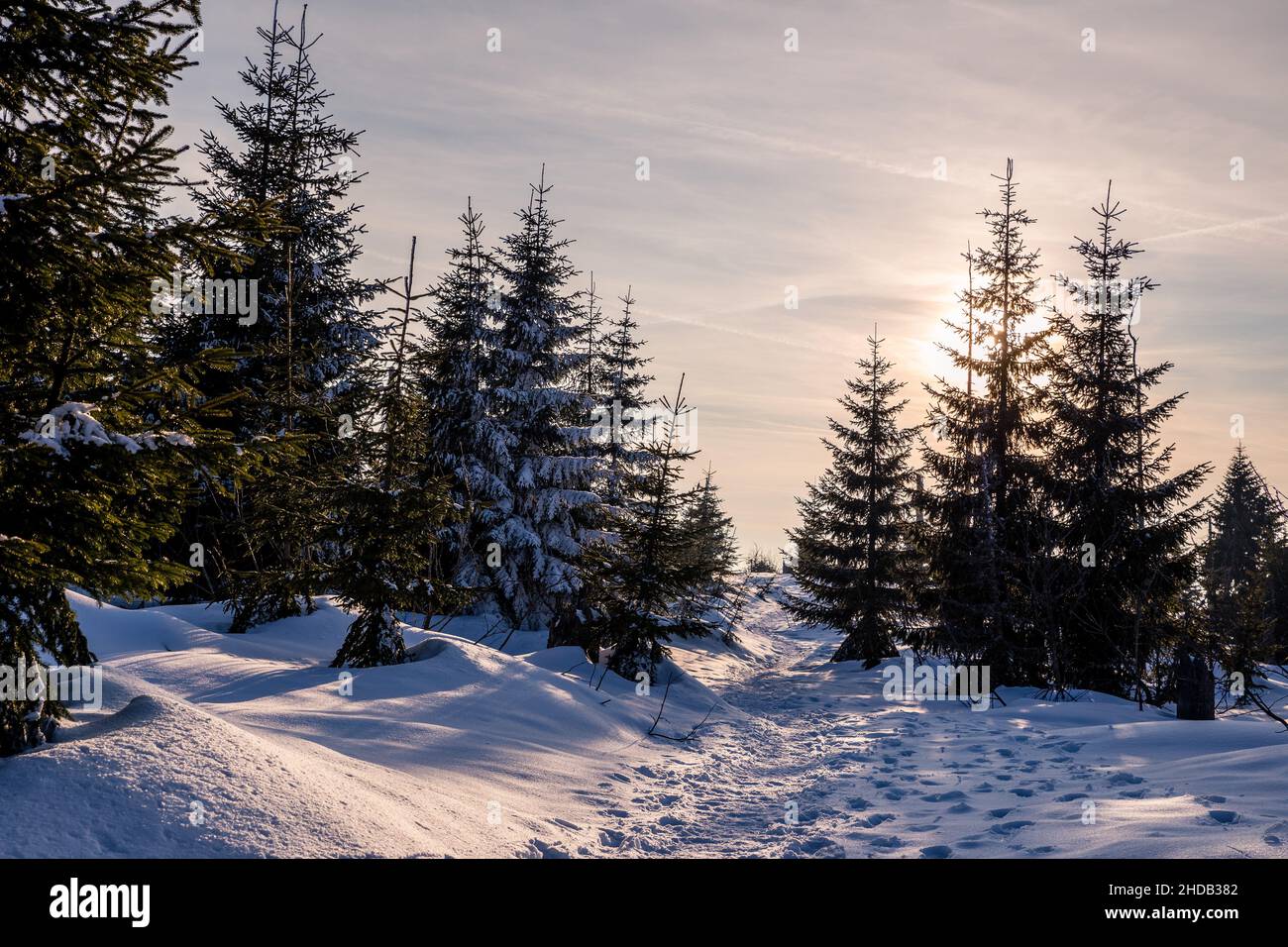 sun behind winter landscape with trees and snow Stock Photo