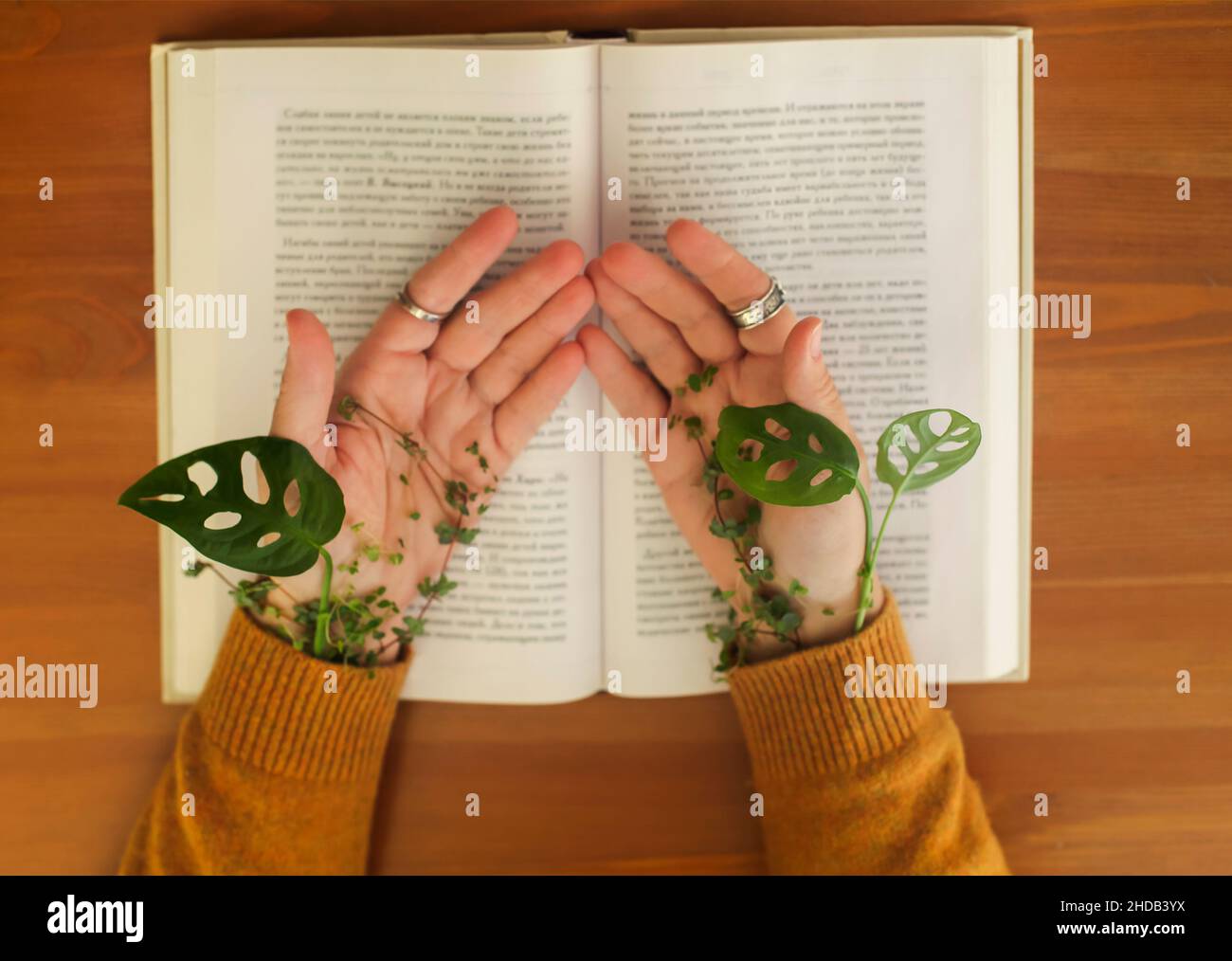 Green leaves wrapped around female hands lying on open book. Cropped shot of woman sitting with open palms at table with plant growing from under swea Stock Photo