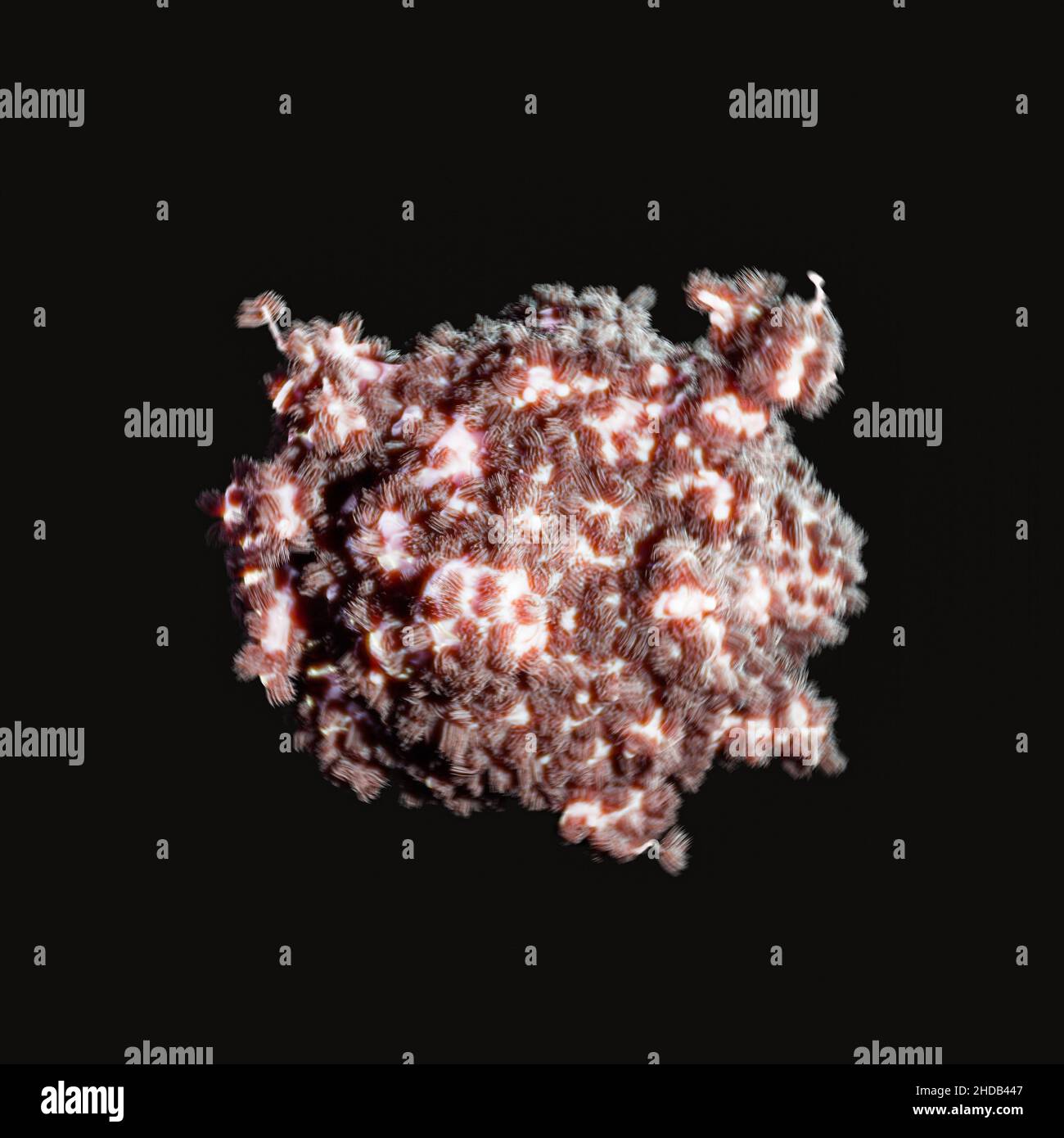 virus isolated on black background 3d illustration Stock Photo - Alamy