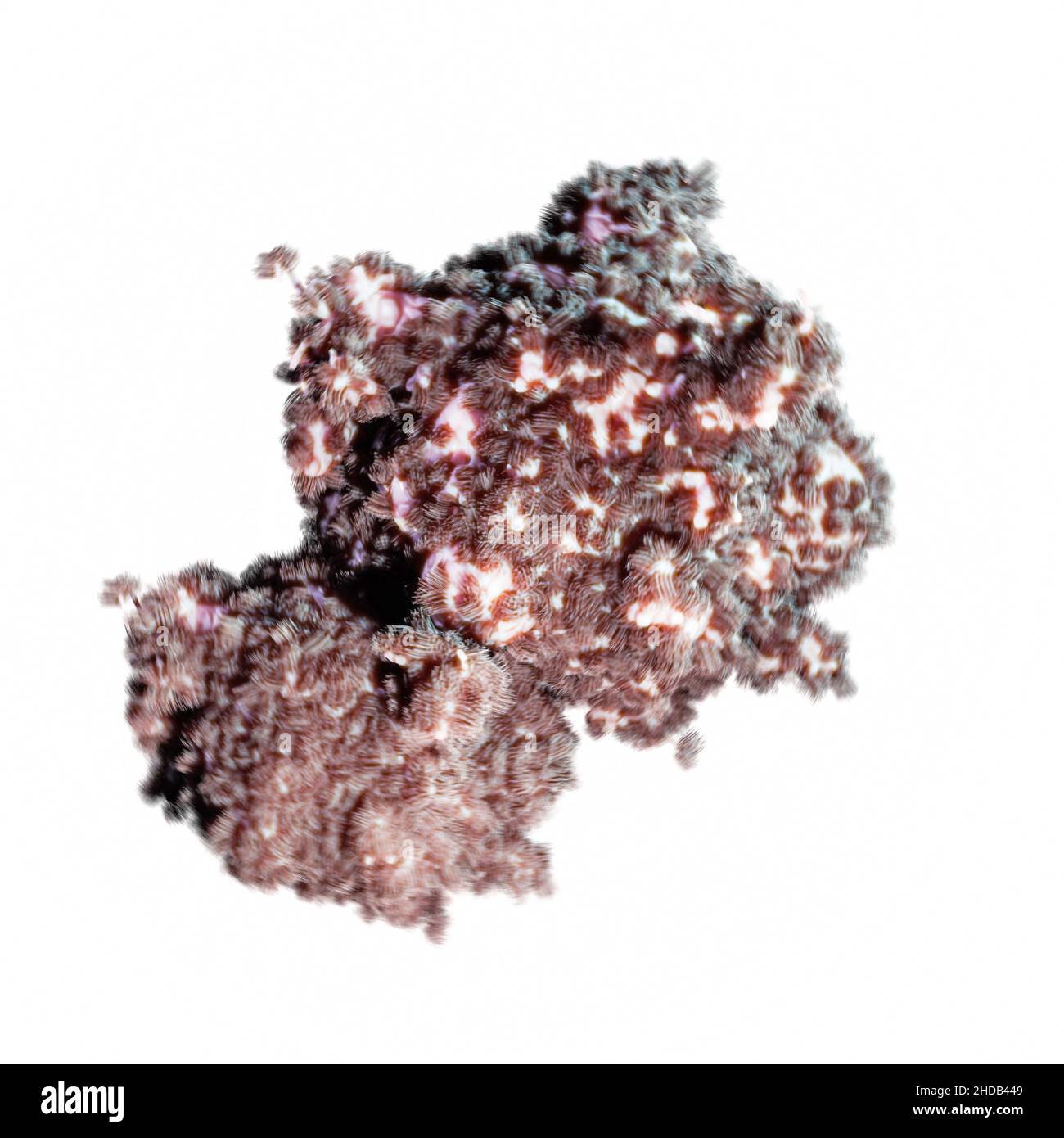 virus isolated on white background 3d illustration Stock Photo - Alamy