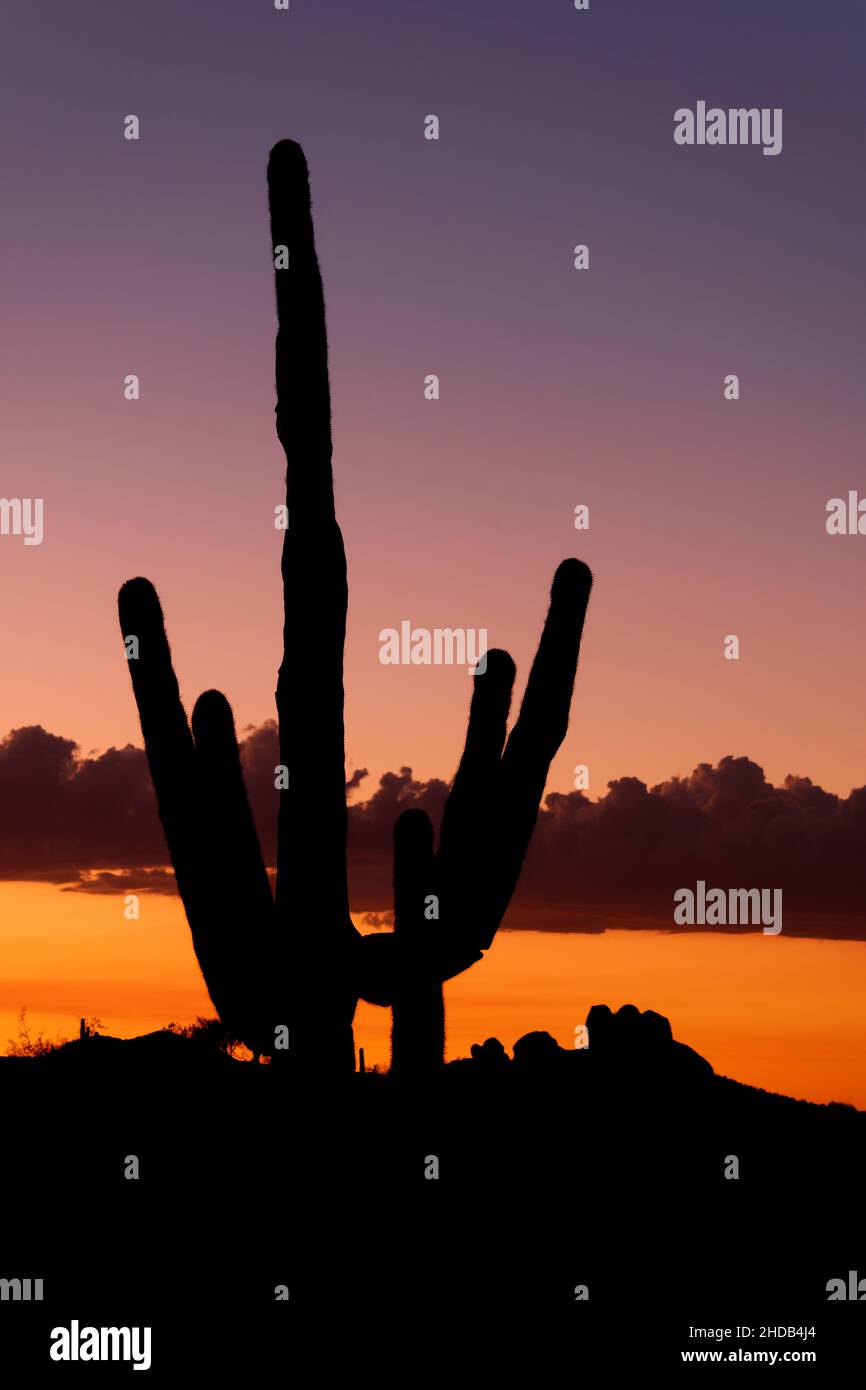 The sun sets over Papago Park, Phoenix, USA Stock Photo