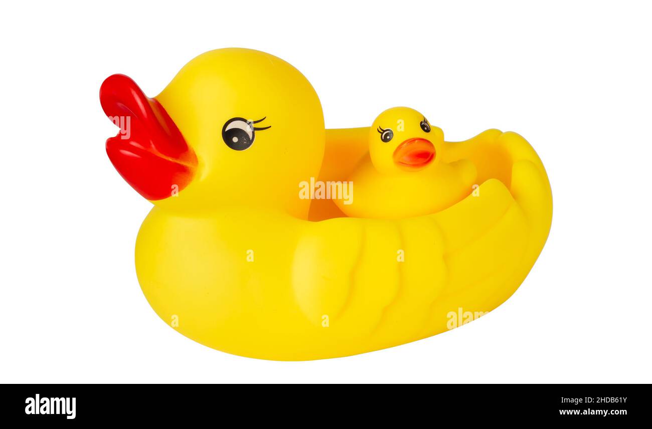 Yellow rubber duck. Isolate on a white background Stock Photo - Alamy