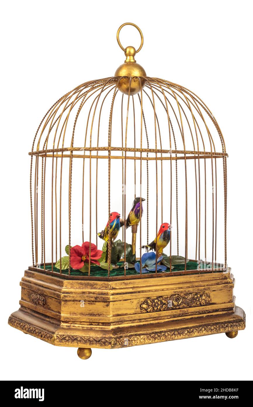 Vintage Brass Bird Cage 22697667 Stock Photo at Vecteezy