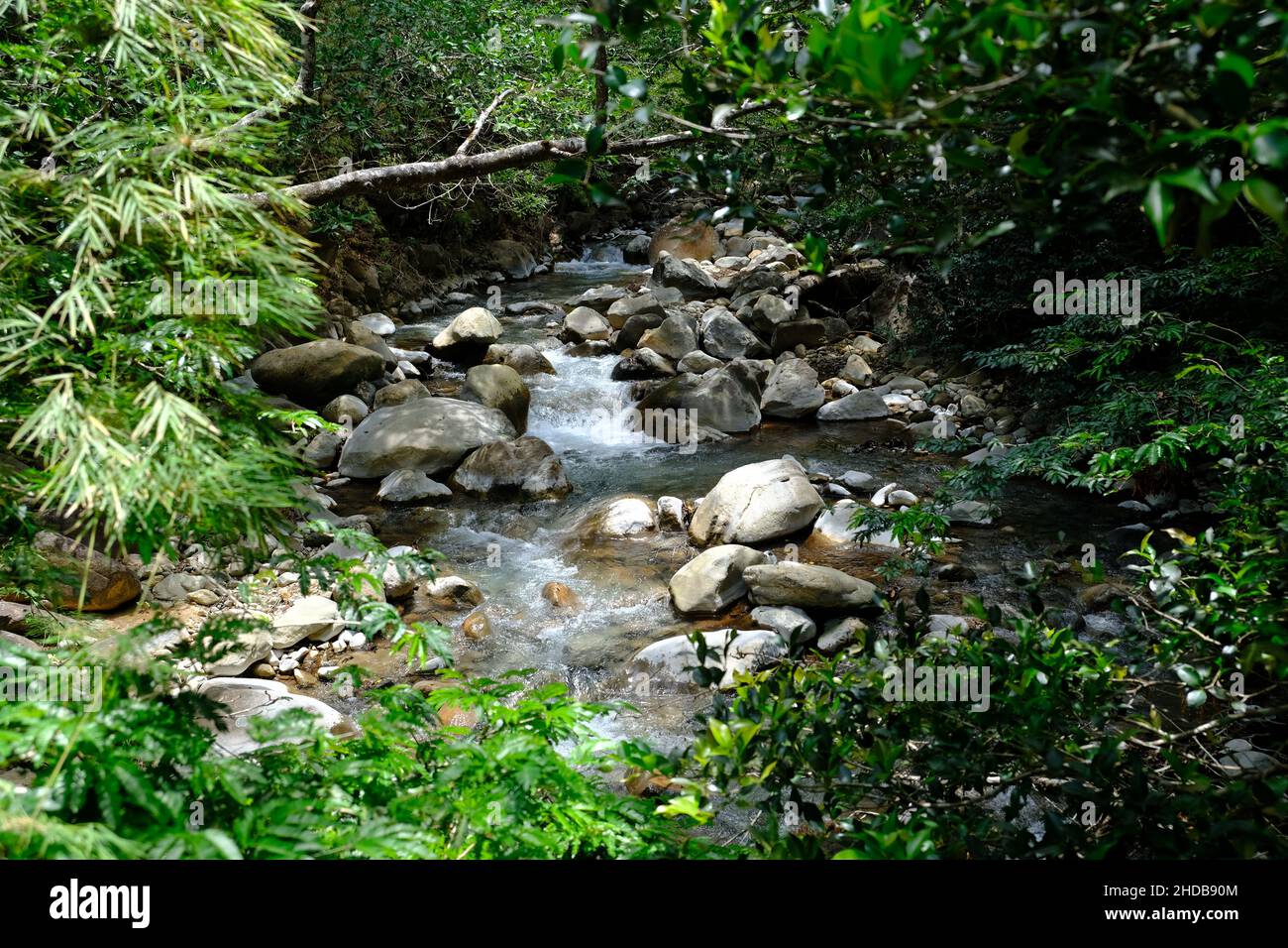 Costa Rica Rincon de la Vieja National Park - Stream with rocky river bed Stock Photo