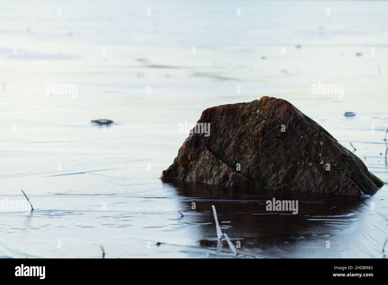 A rock awaits the thaw as it is frozen into the winter of Loch Morlich, Scotland Stock Photo