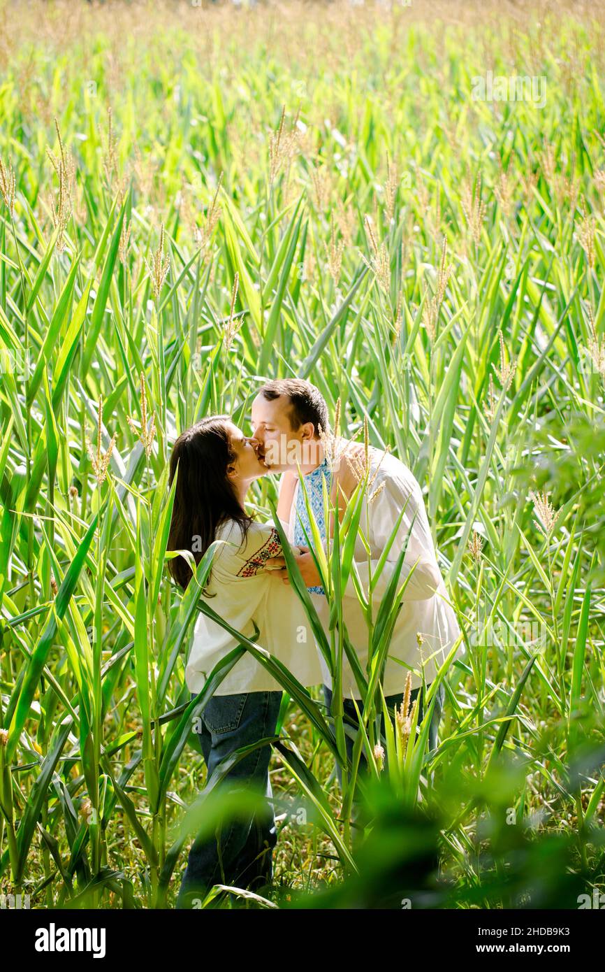 Romantic couple kissing in corn hi-res stock photography and images - Alamy