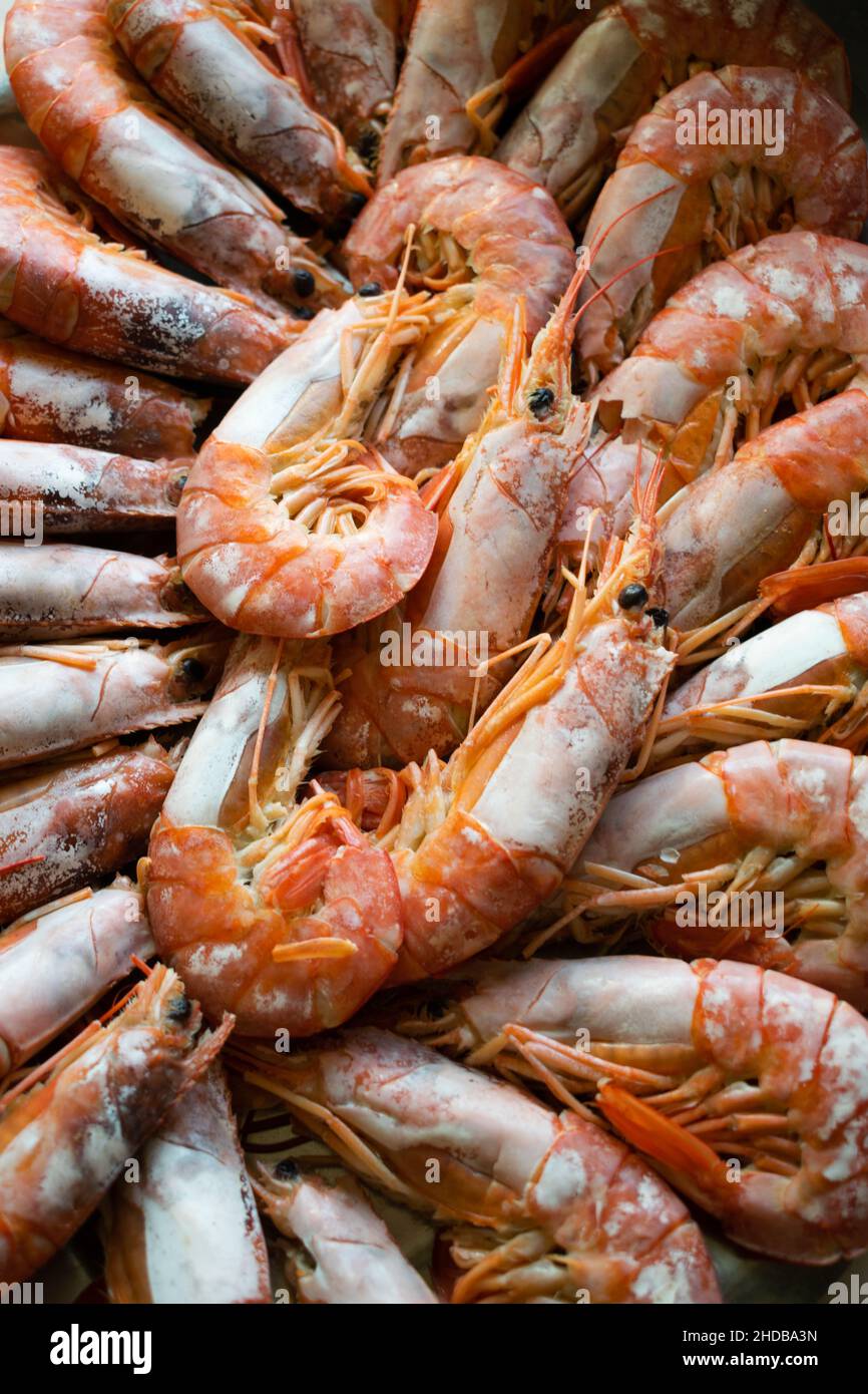 Top view of steamed prawns. Shellfish Stock Photo - Alamy