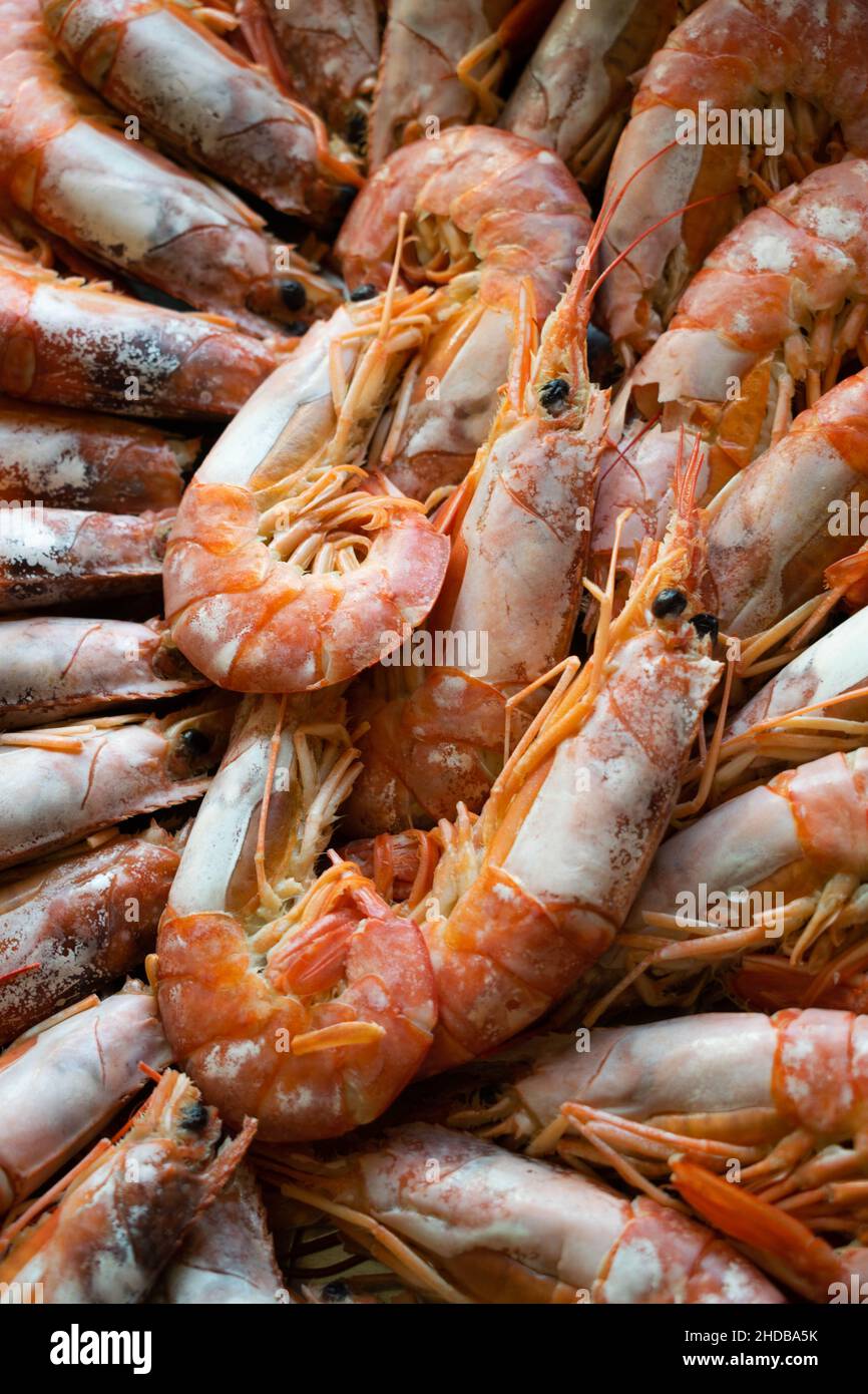 Top view of steamed prawns. Shellfish Stock Photo - Alamy