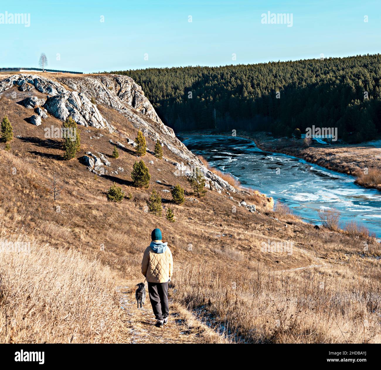 rear view of woman in neutral colors clothes walking by river with gray fluffy mixed breed dog in autumn on dry grass, pet love friendship and care , Stock Photo