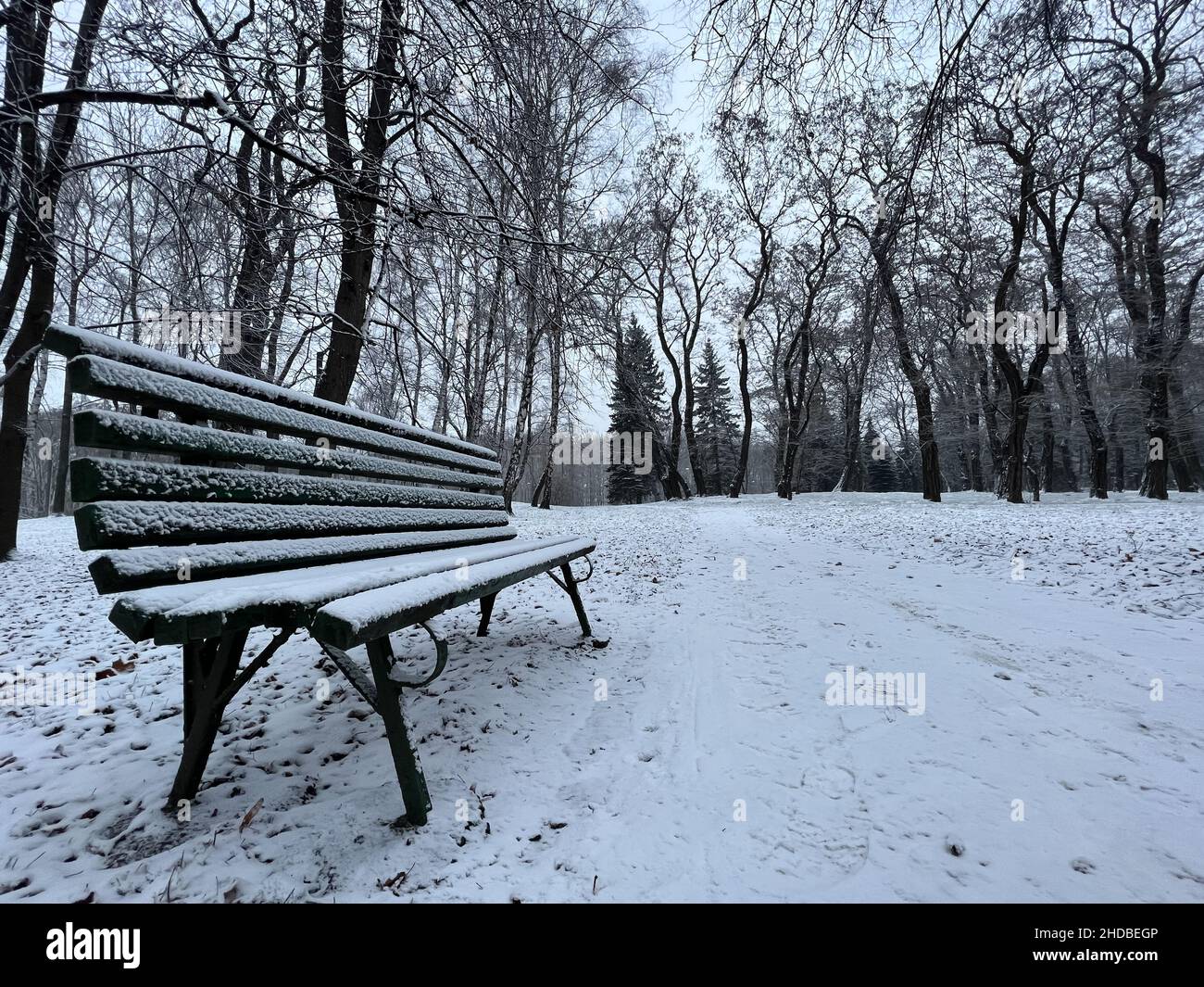 Bench in the park, fresh snow in city park, winter, Poland, Cracow Stock Photo