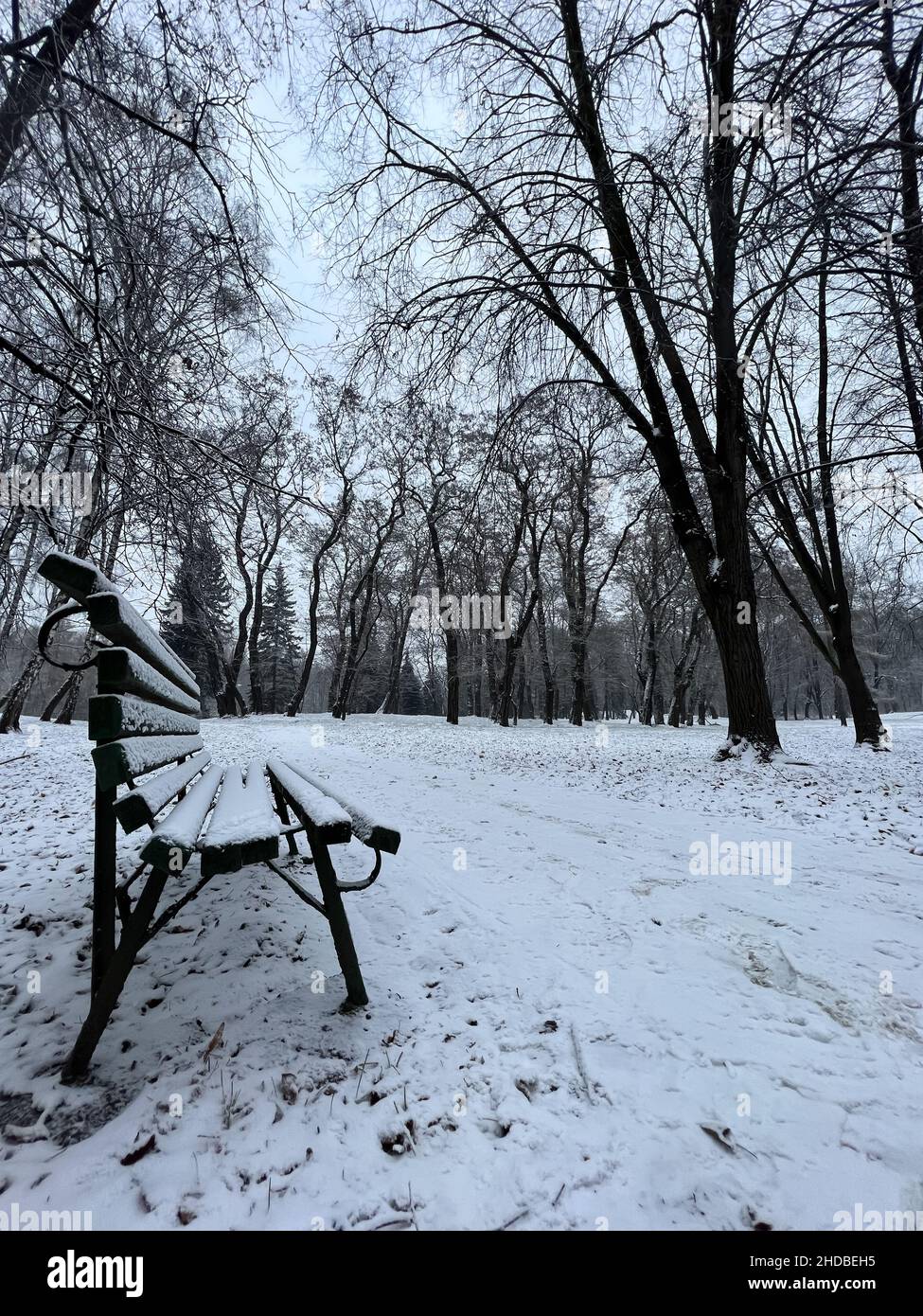 Bench in the park, fresh snow in city park, winter, Poland, Cracow Stock Photo