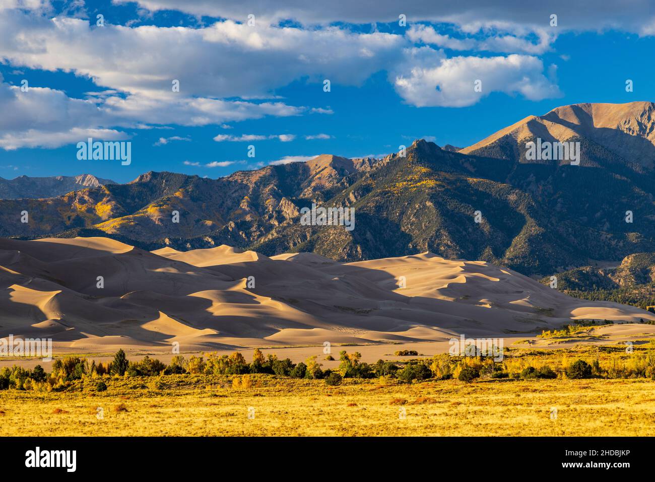 Late afternoon on Sand Dunes, Great Sand Dunes National Park, Colorado Stock Photo