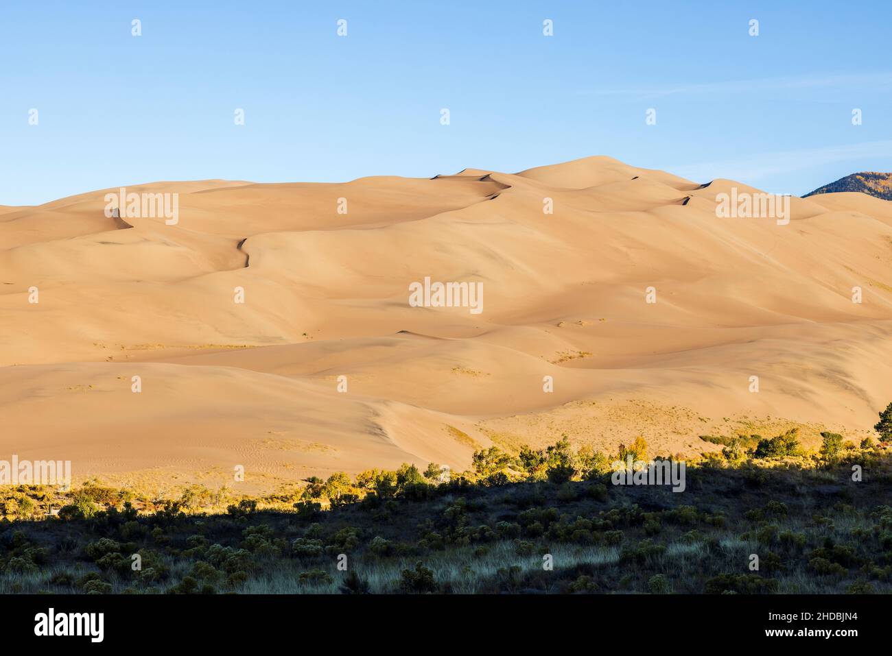 Early morning on Sand Dunes, Great Sand Dunes National Park, Colorado Stock Photo
