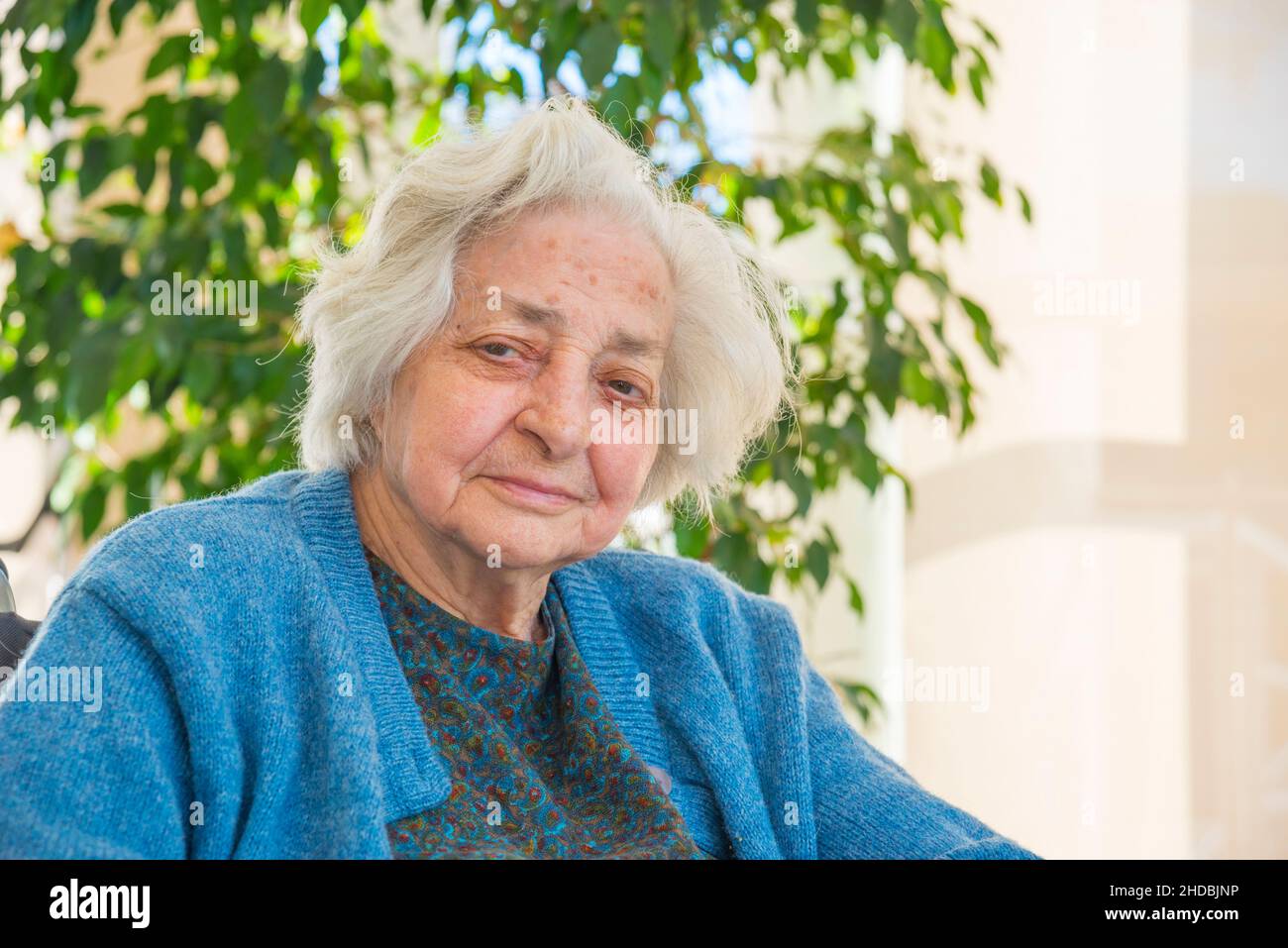 Portrait of old lady smiling and looking at the camera. Stock Photo