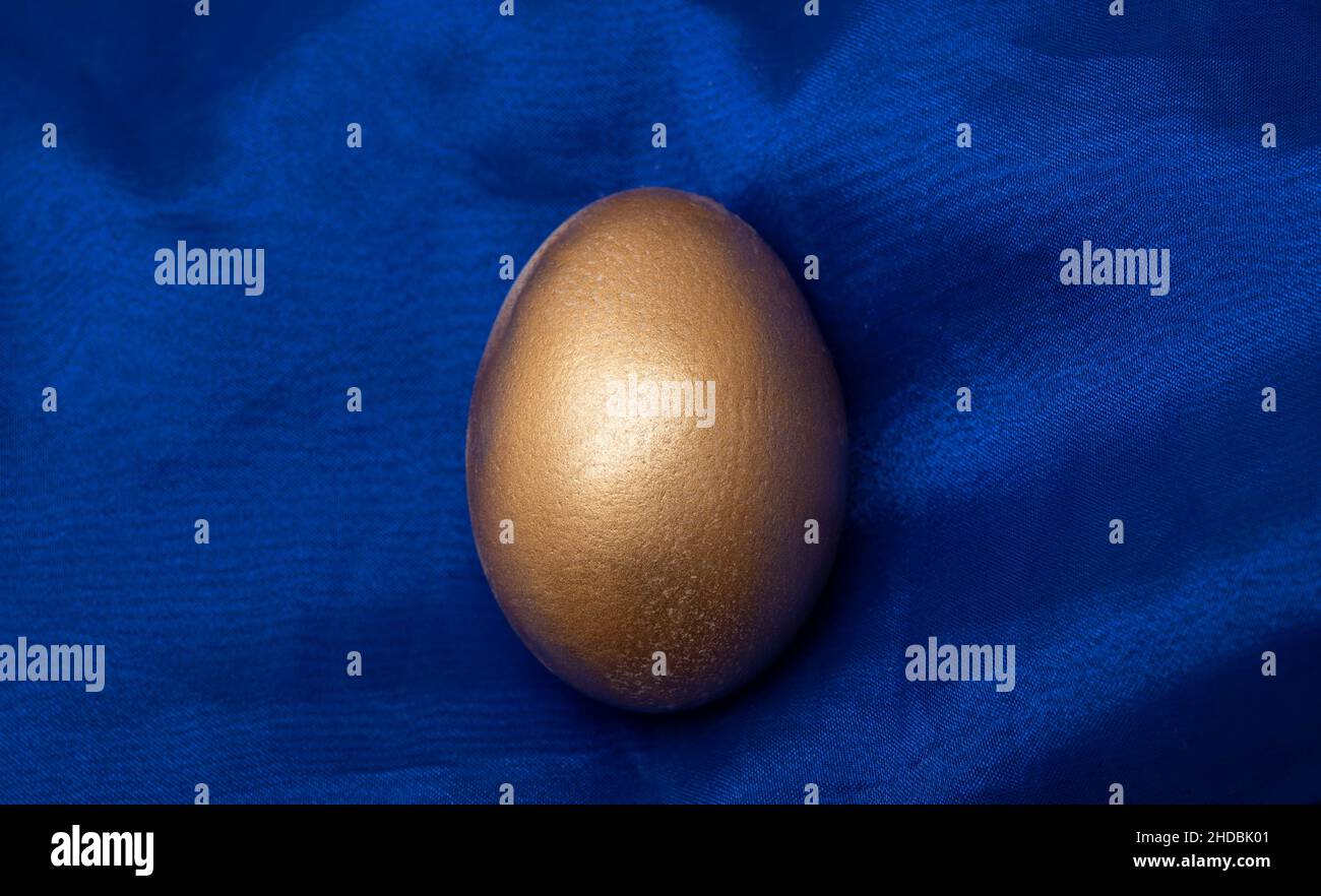 Golden egg micro view on blue velvet background. Stock Photo