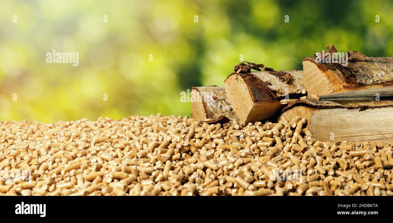 biomass - wood pellets and birch firewood on green leaf background. renewable energy Stock Photo
