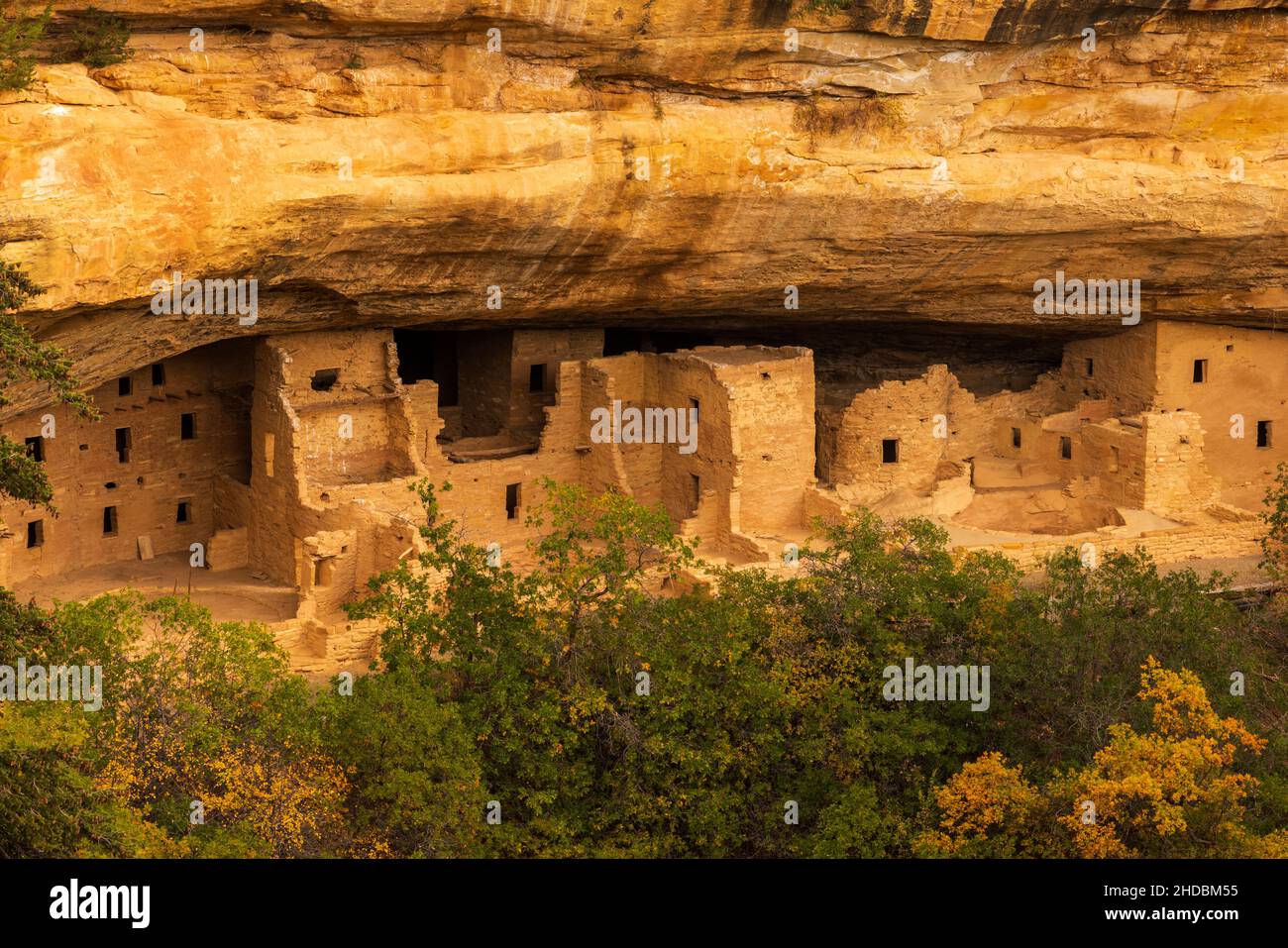 Spruce Tree House in late afternoon, Mesa Verde National Park, Colorado Stock Photo