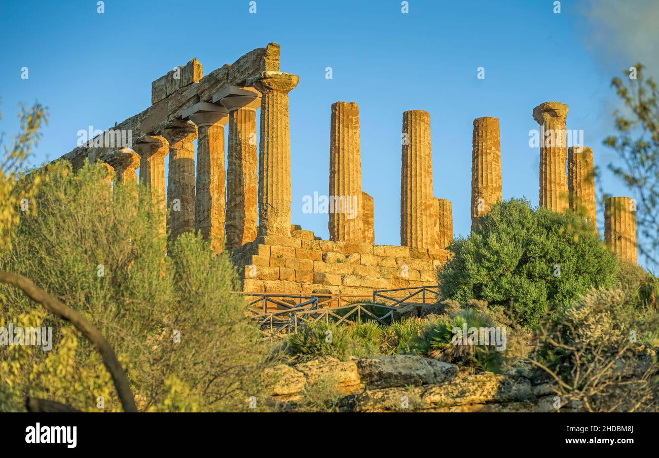 Tempel der Hera, archäologischer Park Valle dei Templi (Tal der Tempel), Agrigent, Sizilien, Italien Stock Photo