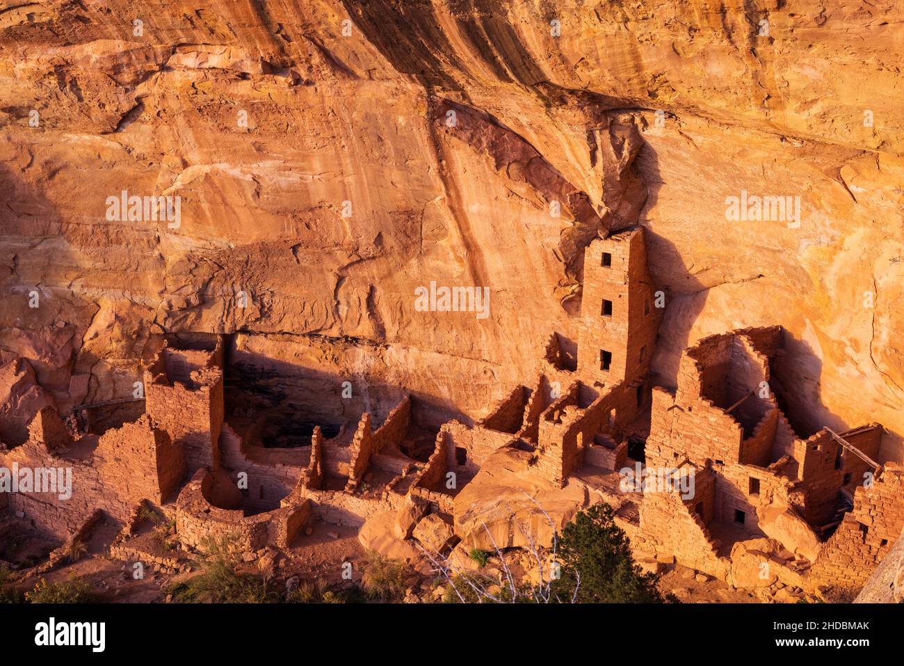 Square Tower House in late afternoon, Mesa Verde National Park, Colorado Stock Photo