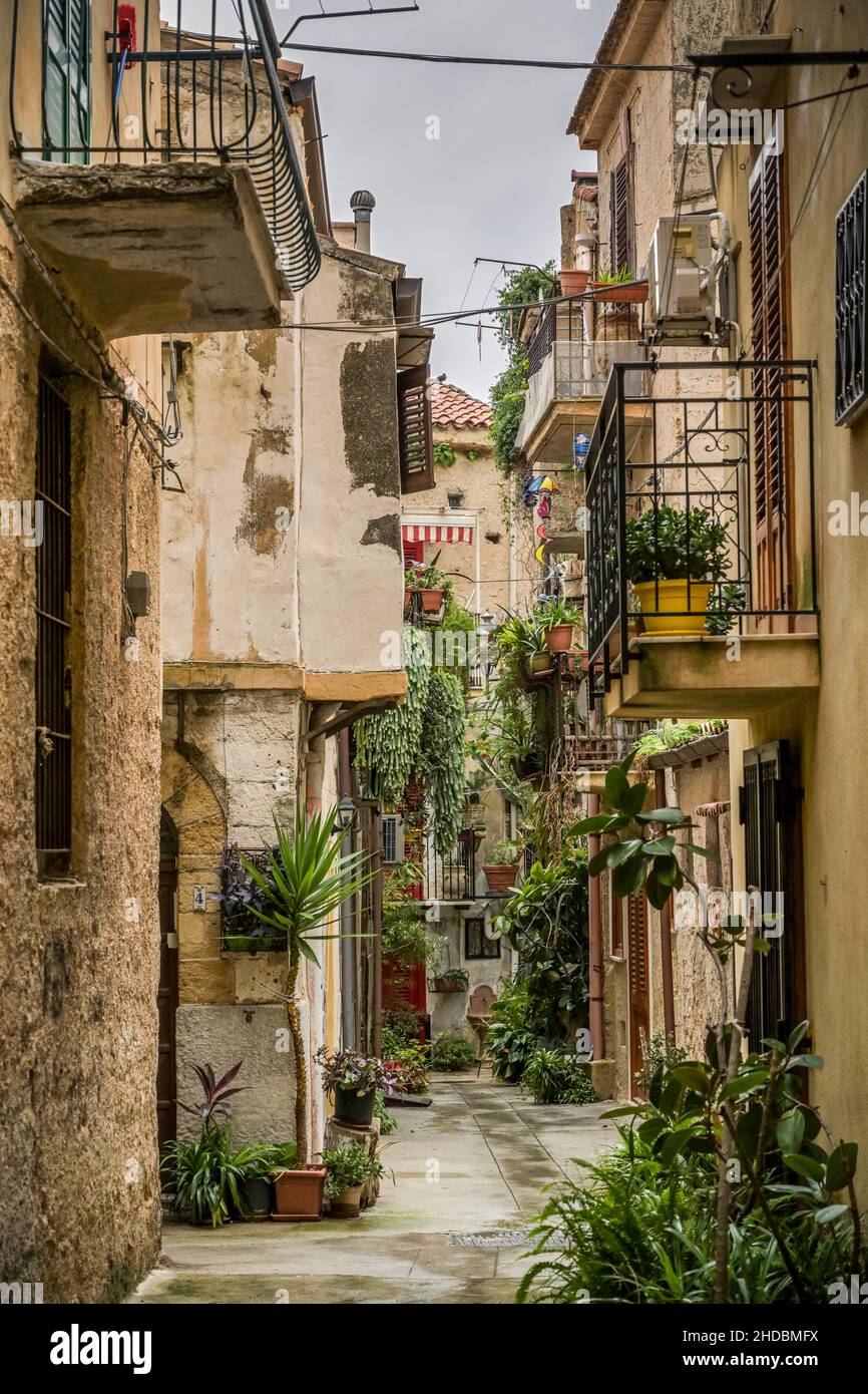 Altstadtgasse, Pflanzen, Monreale, Sizilien, Italien Stock Photo