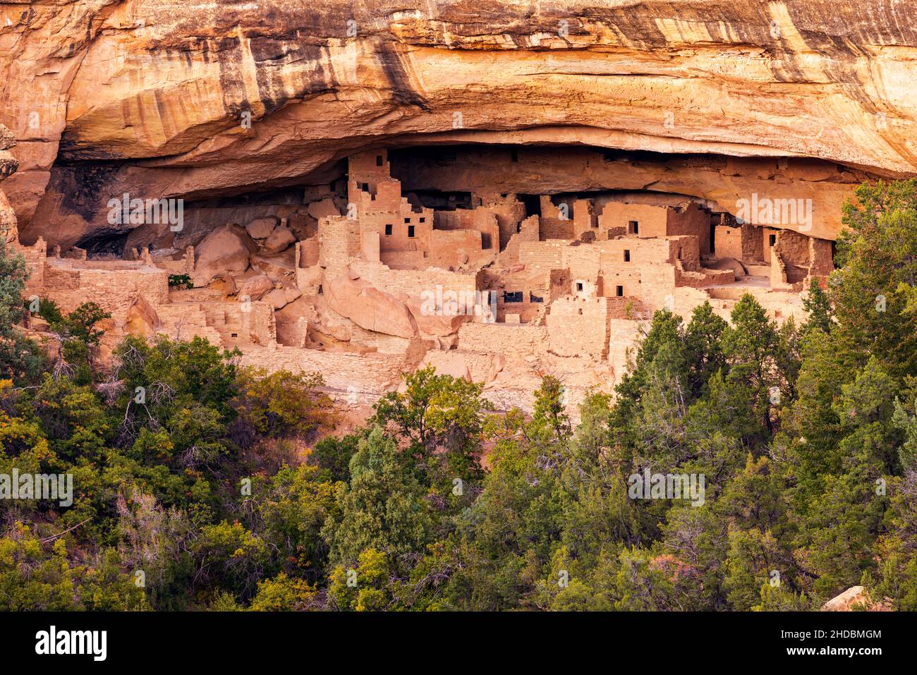 Cliff Palace House in late afternoon, Mesa Verde National Park, Colorado Stock Photo